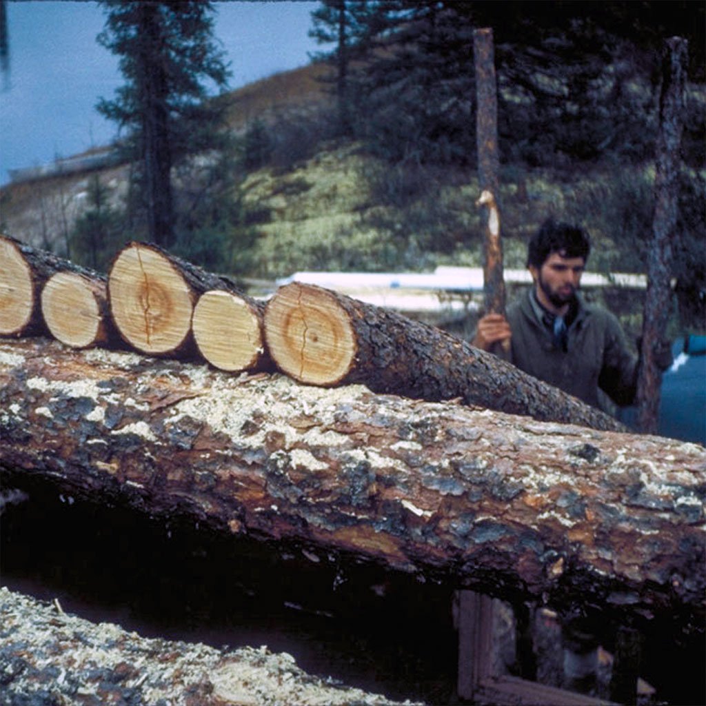 The roof logs required a lot of timber and I think we underestimated how much work would be involved in getting those all cut and placed. (image 18 of 32)
