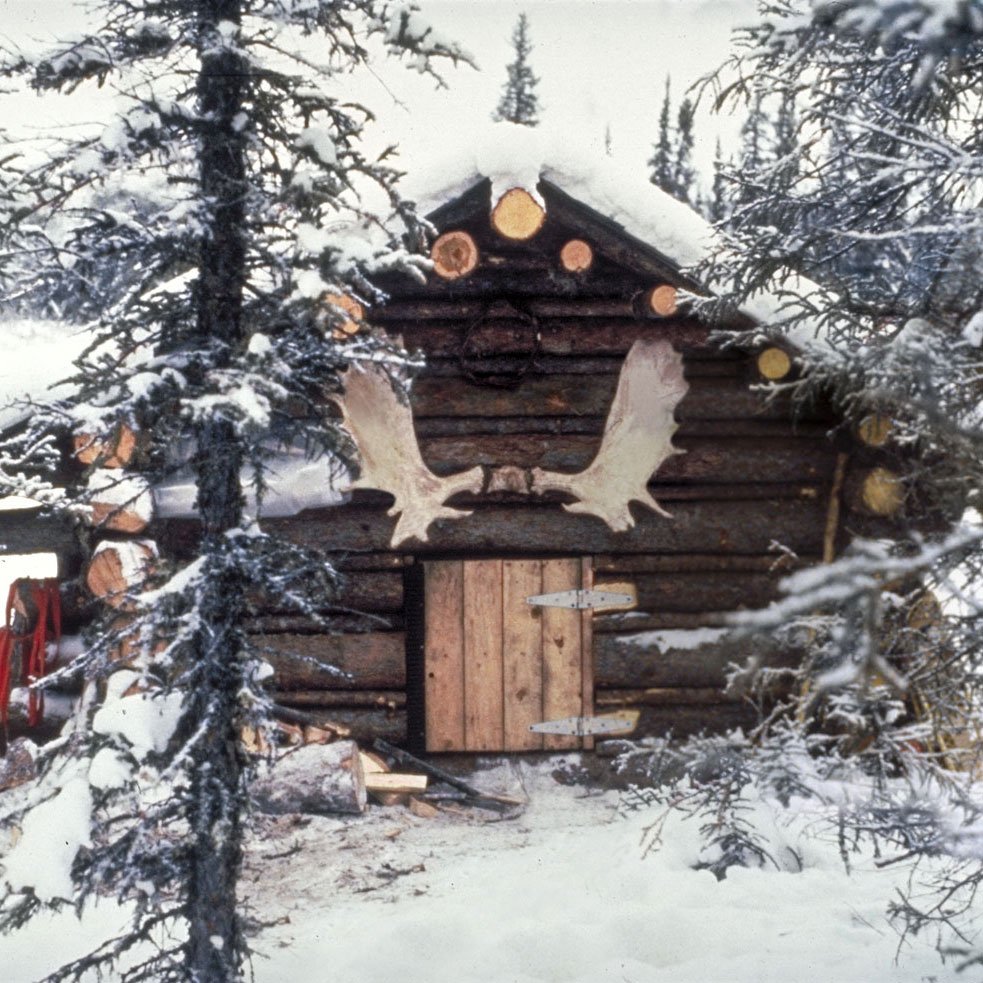 Of course we had to make good use of out moose antlers. Anytime you would exit the cabin you would ultimately hit your head on these antlers. You would also have to be careful not to gouge out your eyes as you entered the cabin. I suppose the moose h