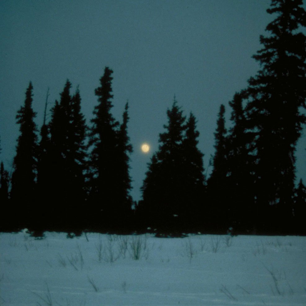 Searching for another 2 hours before finally succumbing to the cold, exhaustion, dehydration, and hunger. (image 11 of 22)
