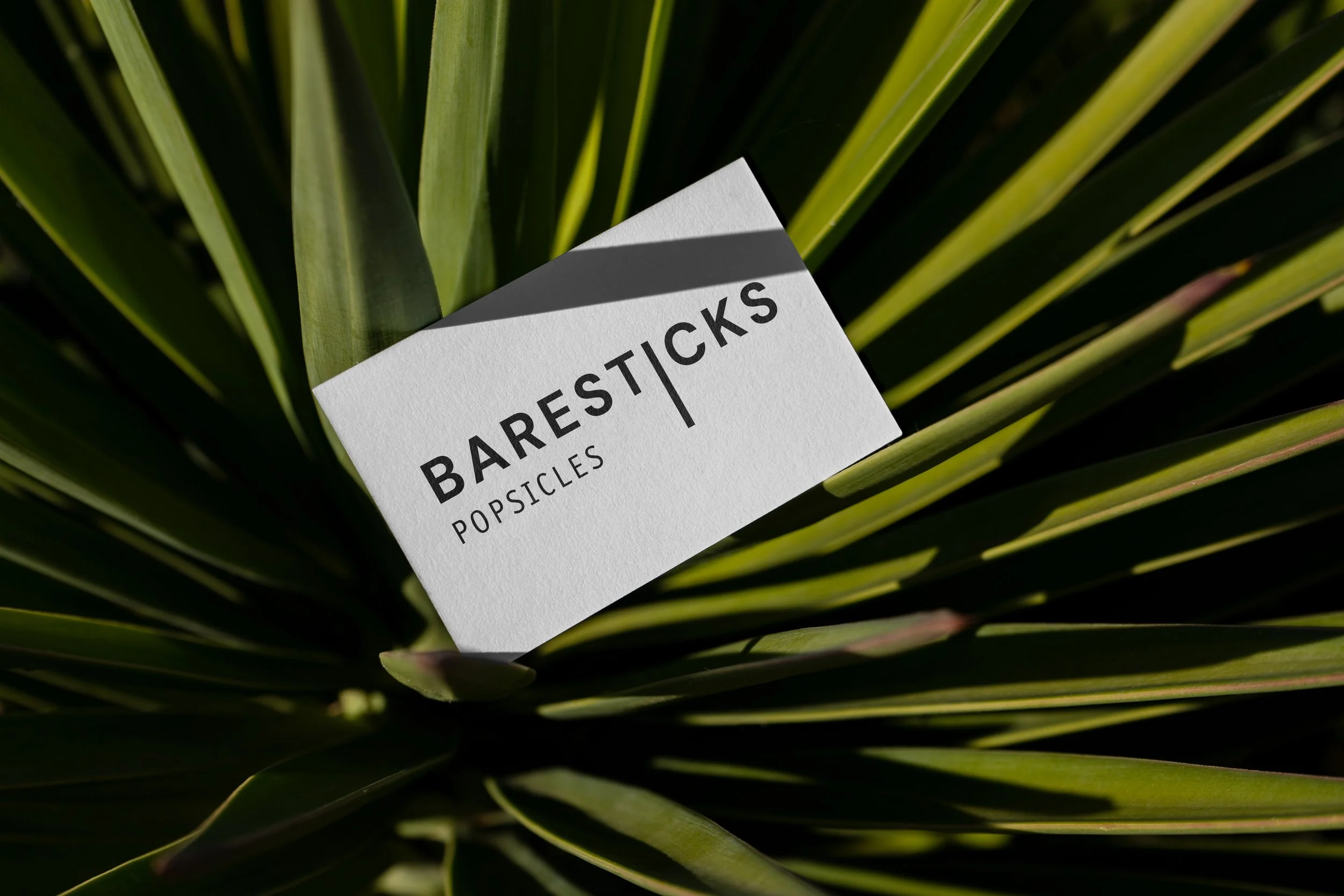 BS MockupMaison_BC_C04.jpeg