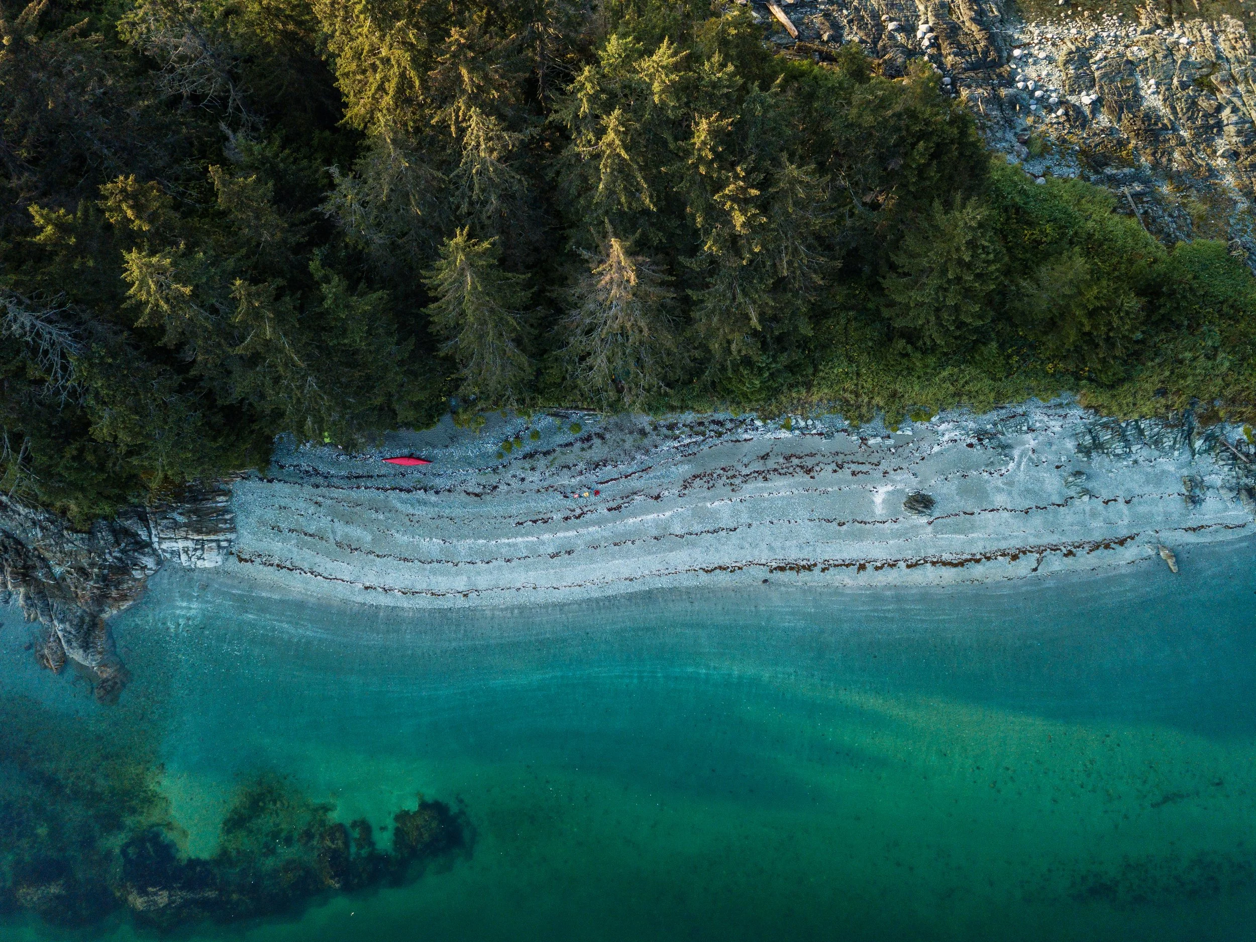 Seal island aerial.jpg