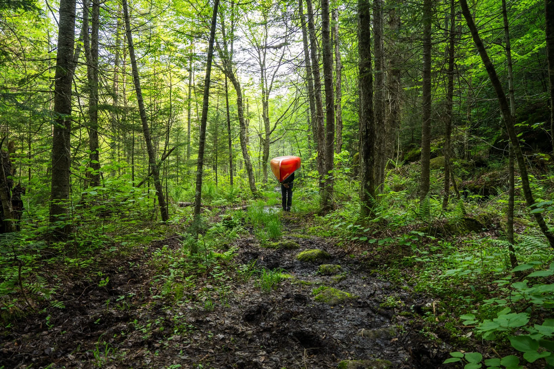 St.Regis Canoe DA2025JD-24.jpg