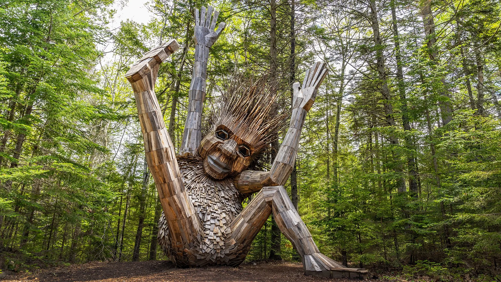 A large wooden troll sculpture at Coastal Maine Botanical Gardens, sitting in a forest with tall green trees.