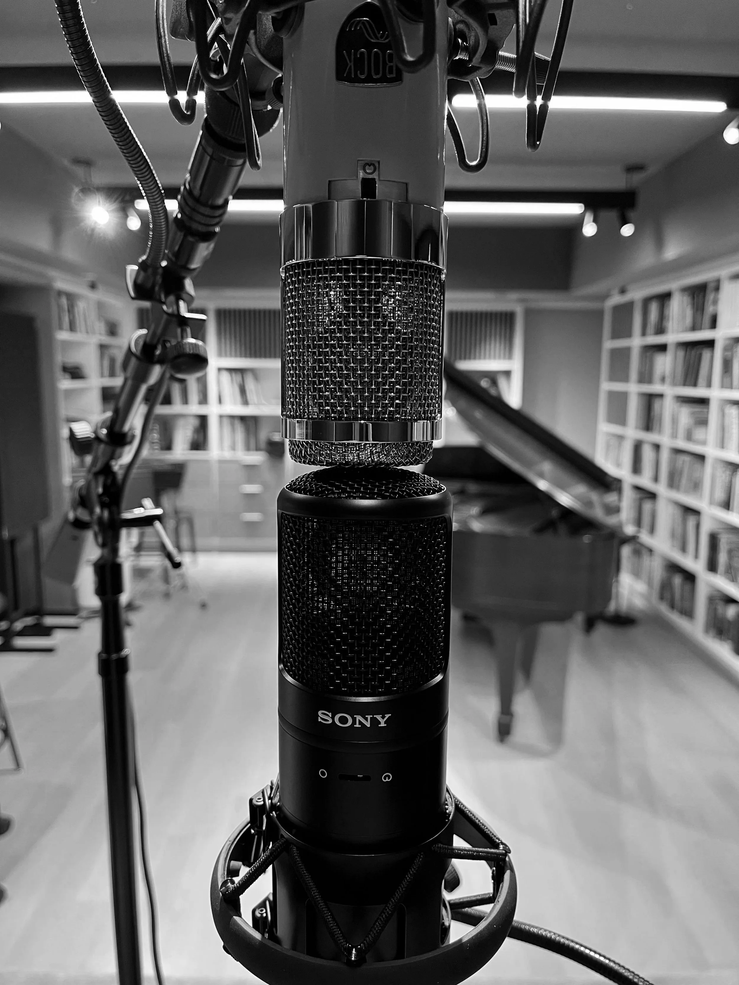 Bock 251 and Sony C800