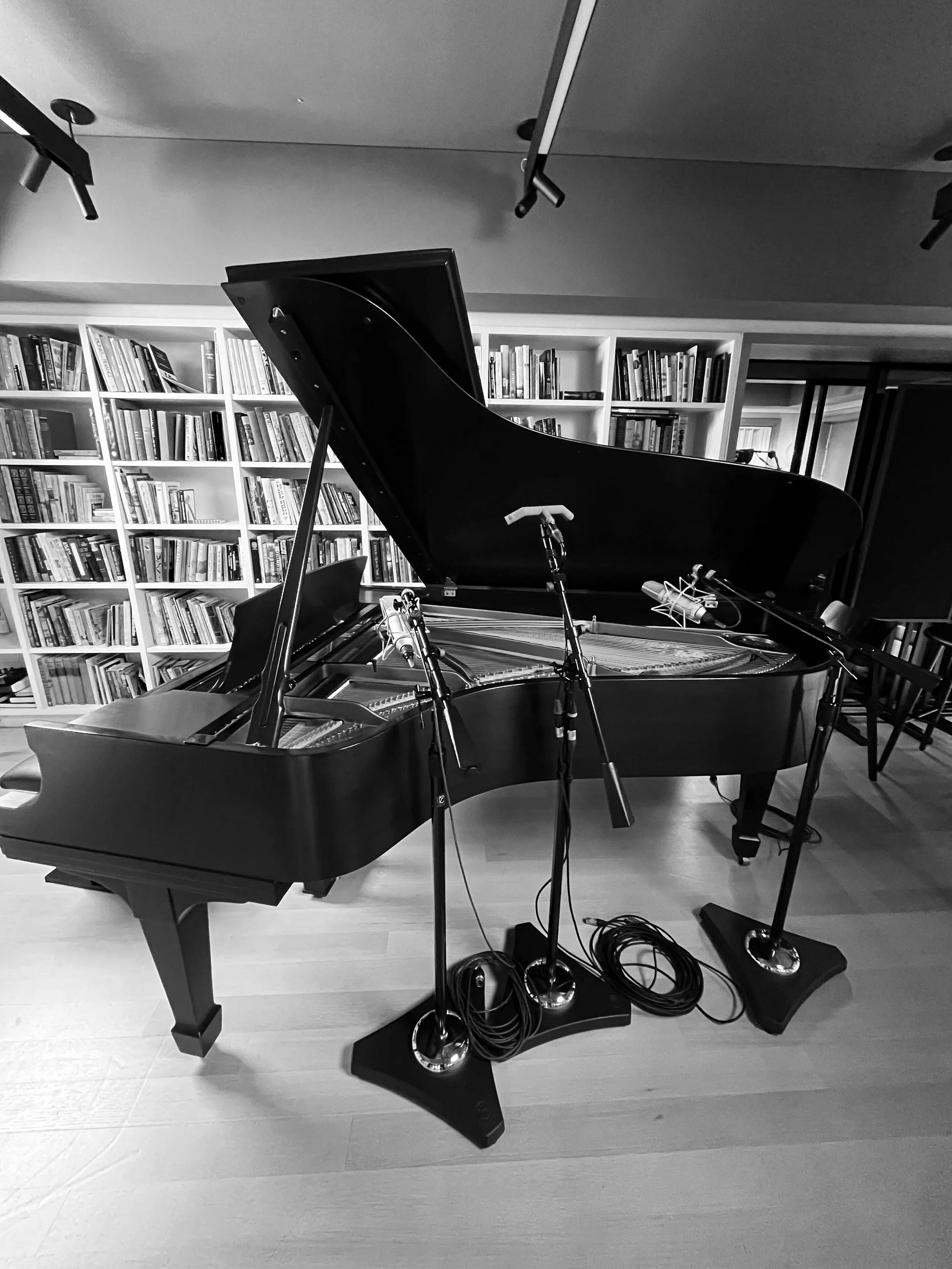 Piano MS Recording Setup