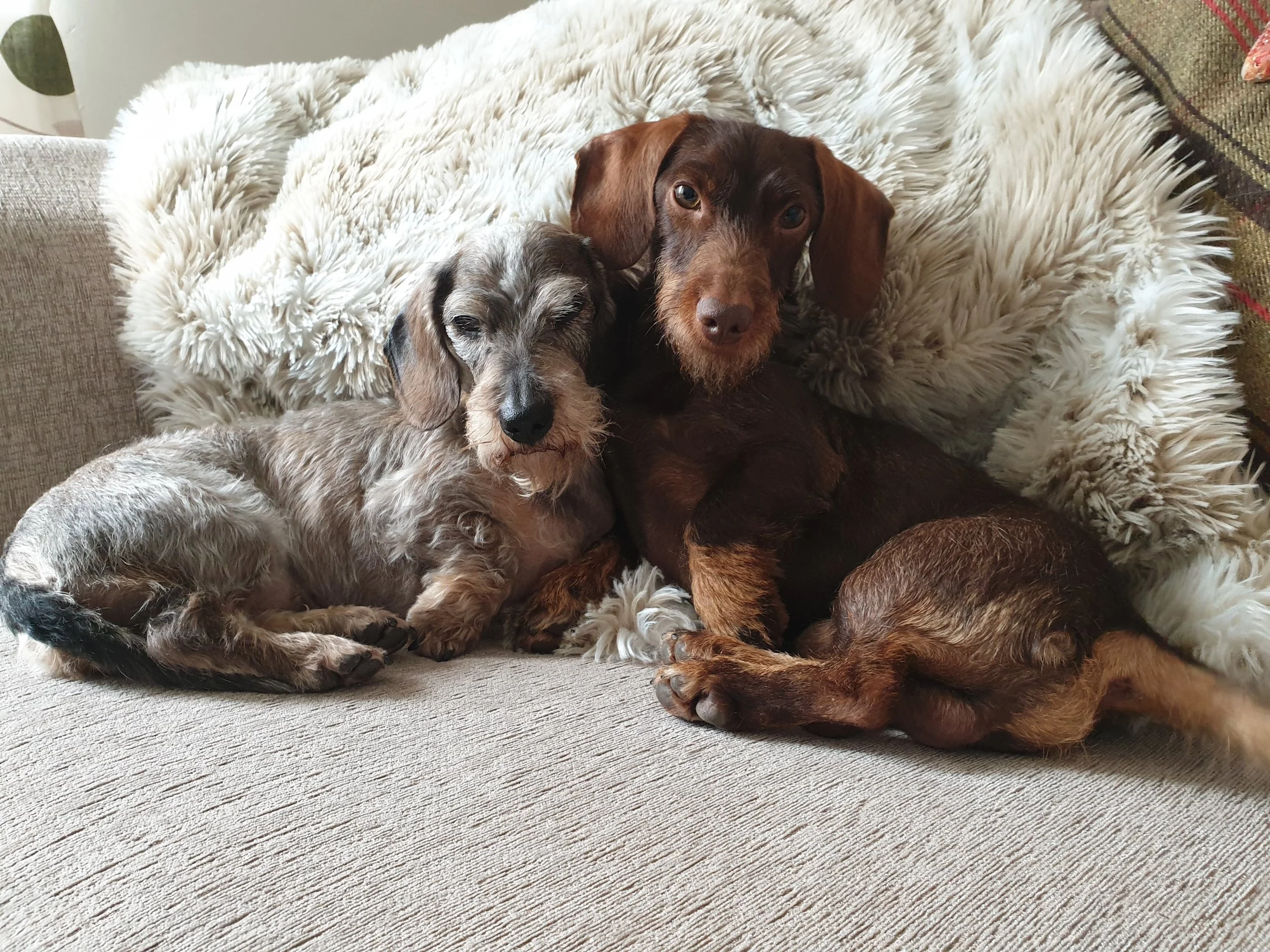 Look at the whole picture