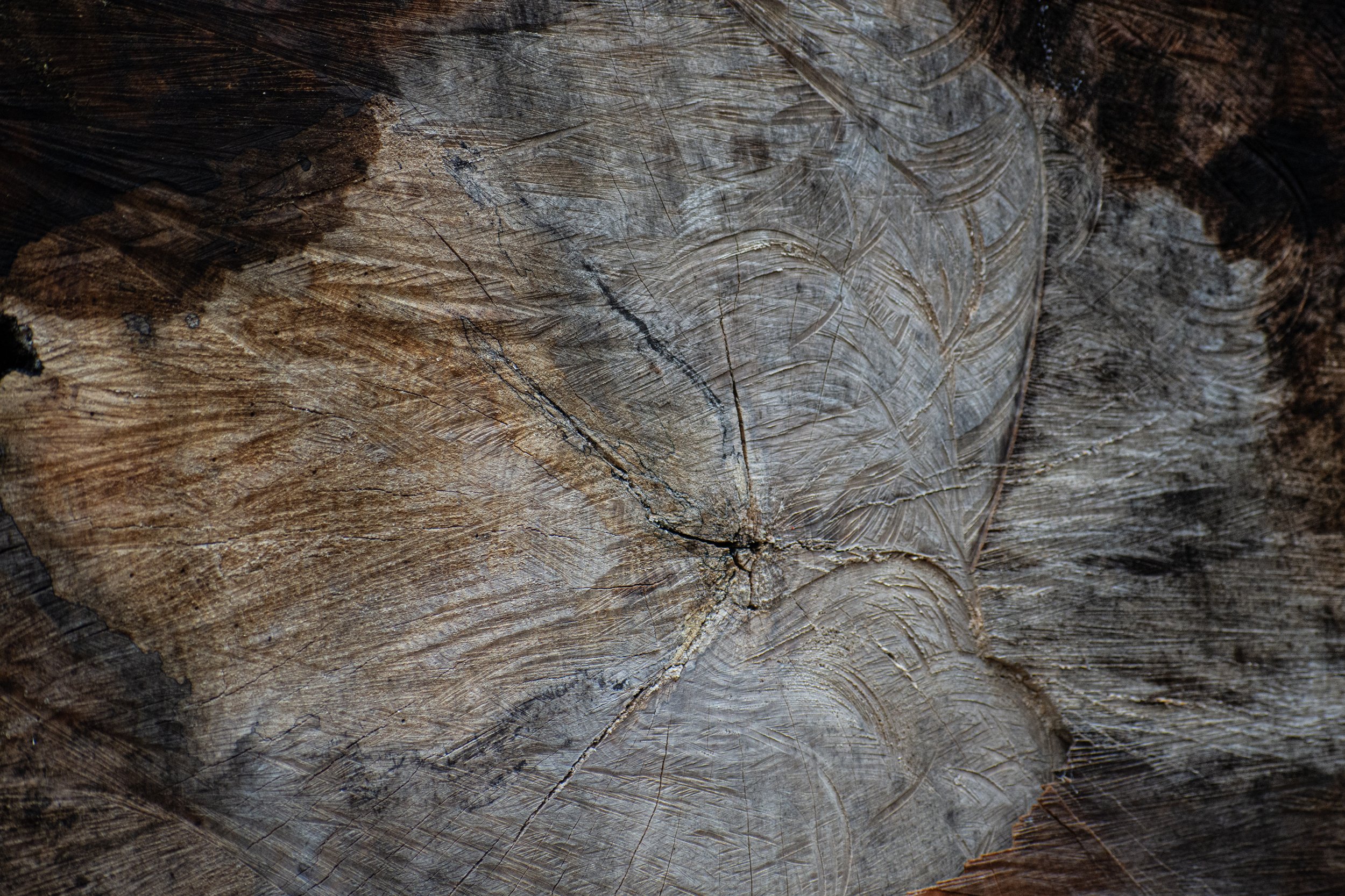 Wood.jpg
