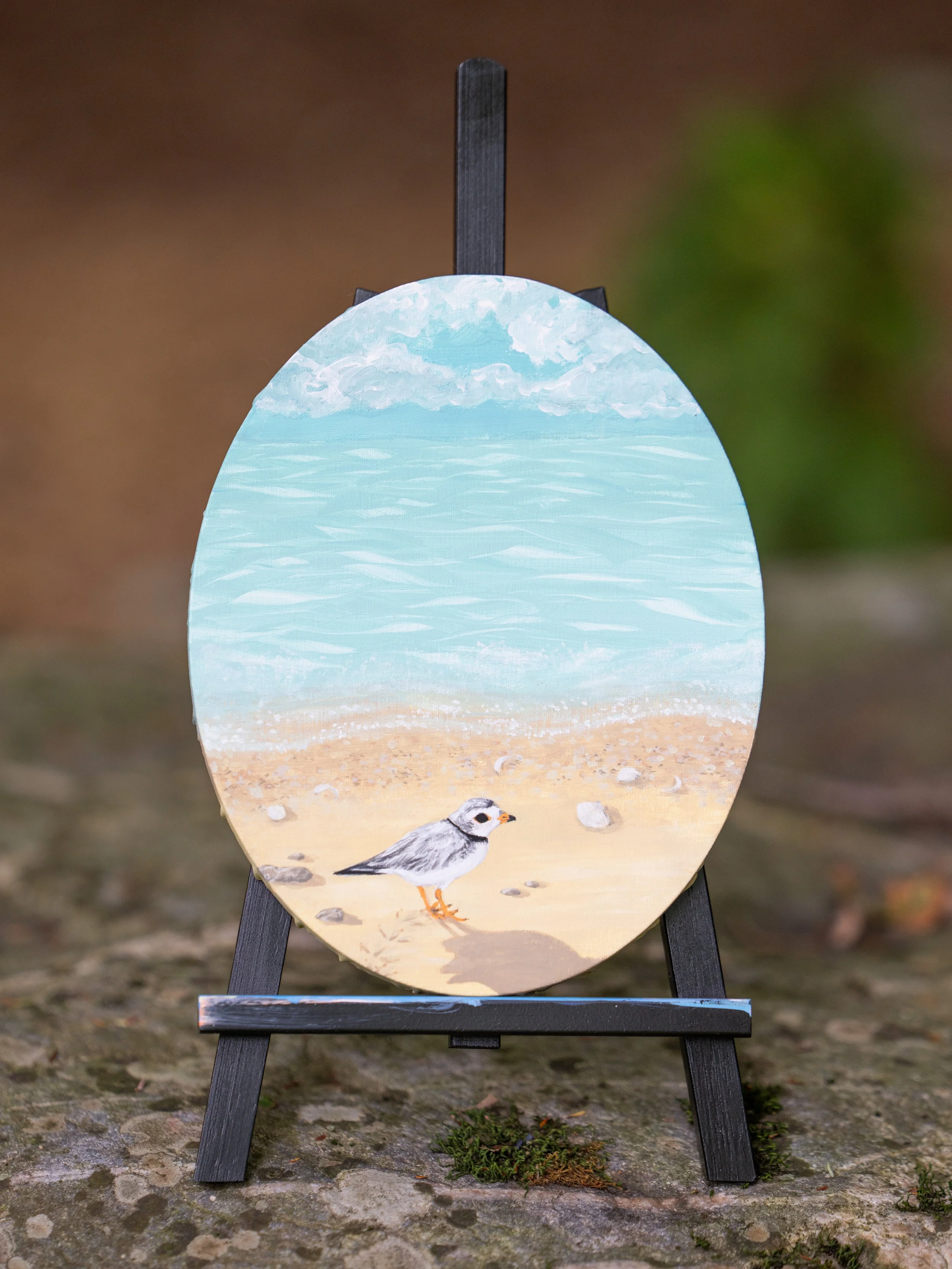 Original Plover Painting.jpg