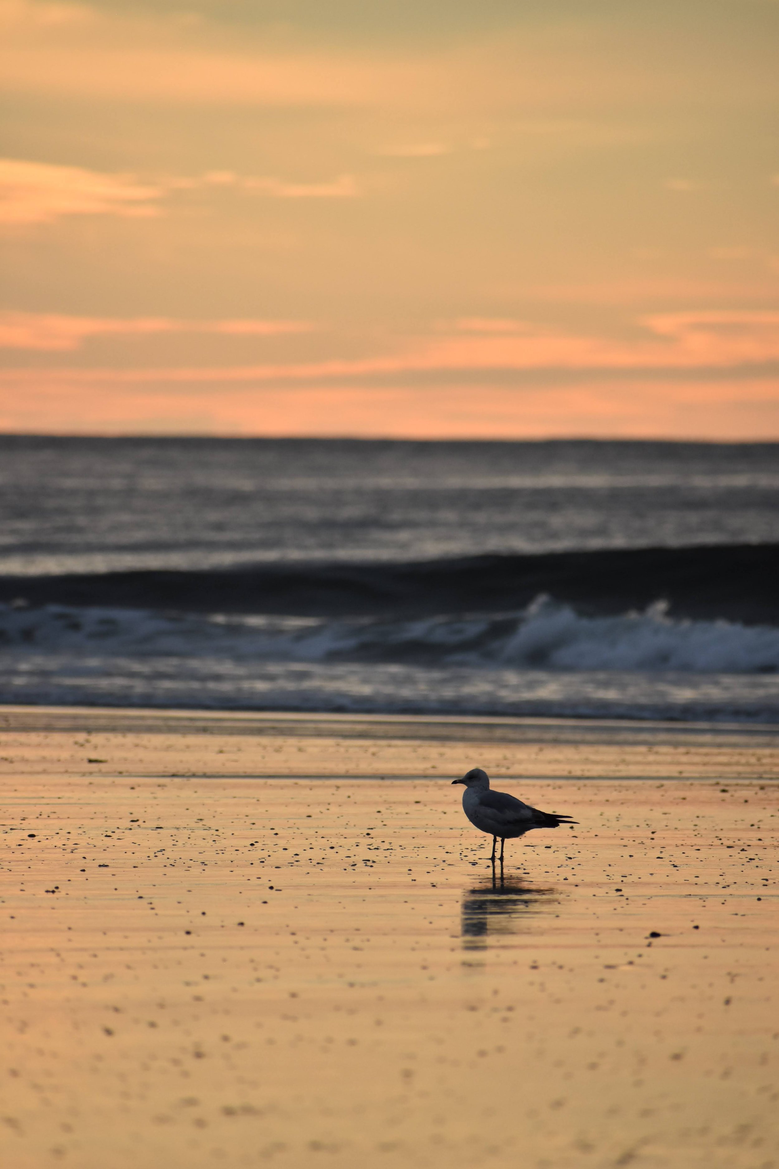 DSC_6037.NEF.jpg