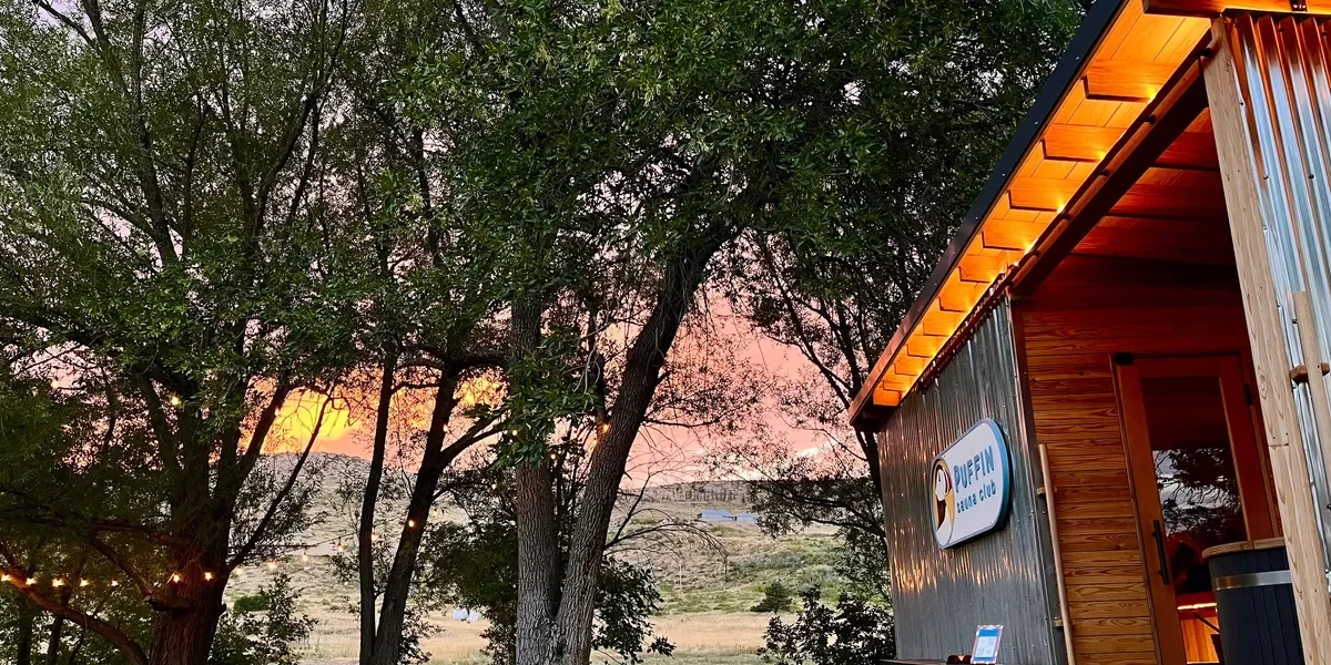 Puffin Sauna Club Show