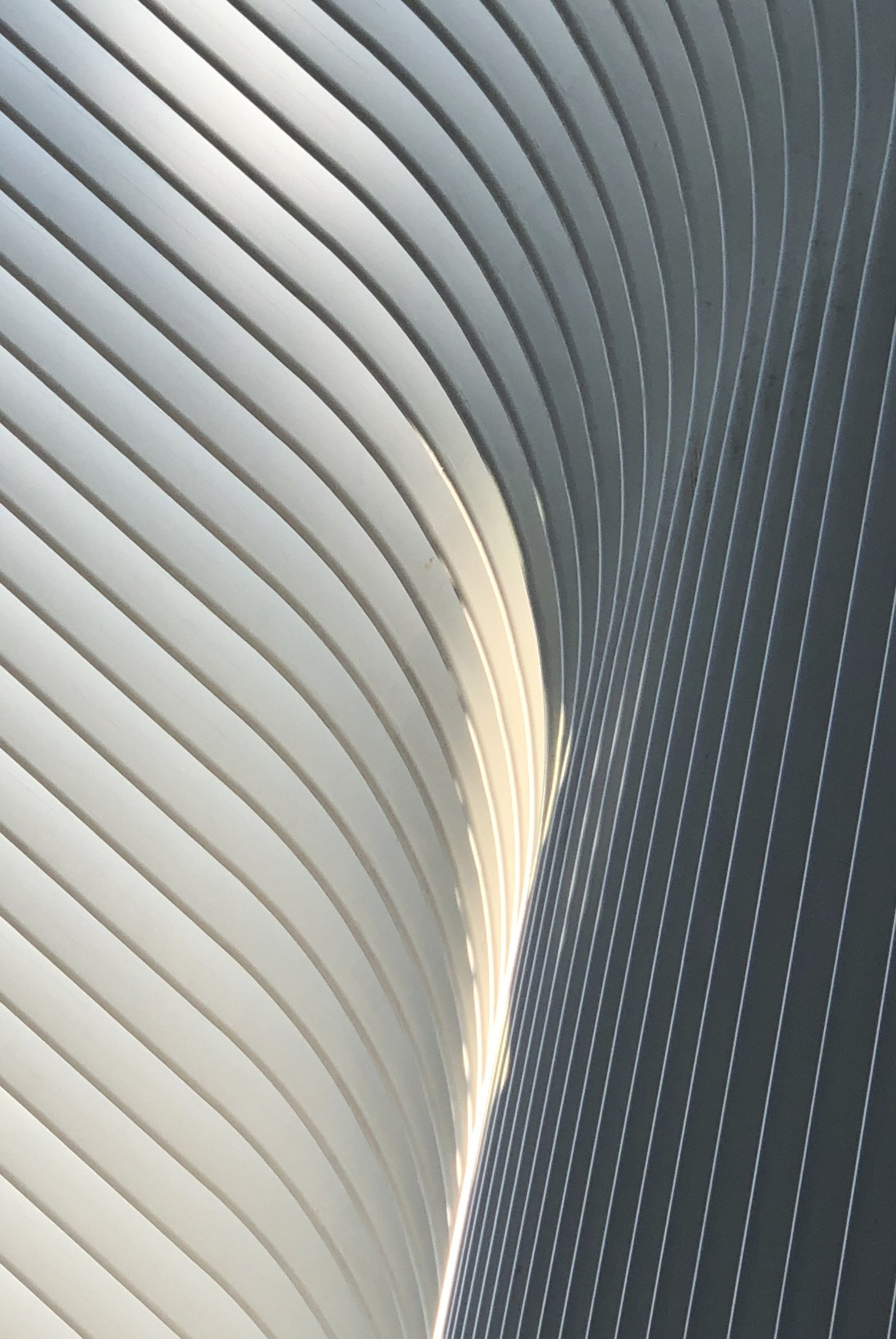 Oculus, Sept 9, 2022, Metal 20x30 in