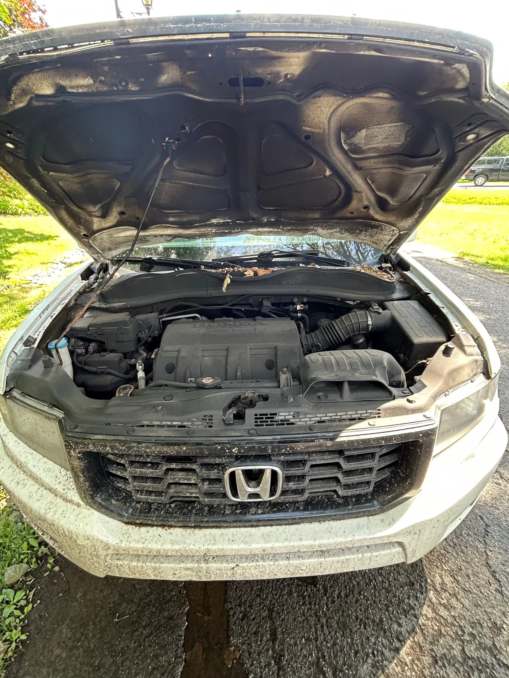 Engine Bay with antirust-Before