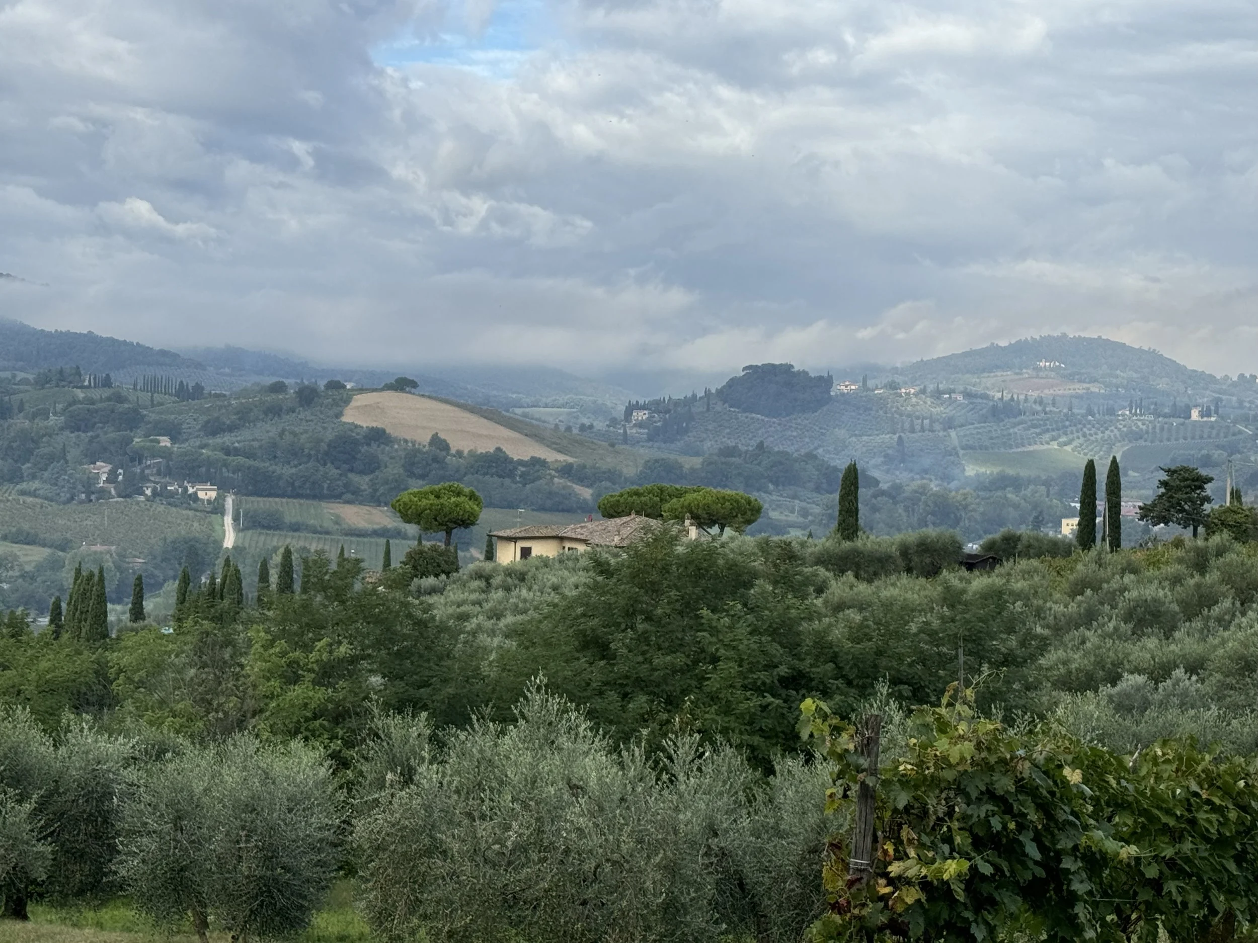 IMG_1093.jpeg