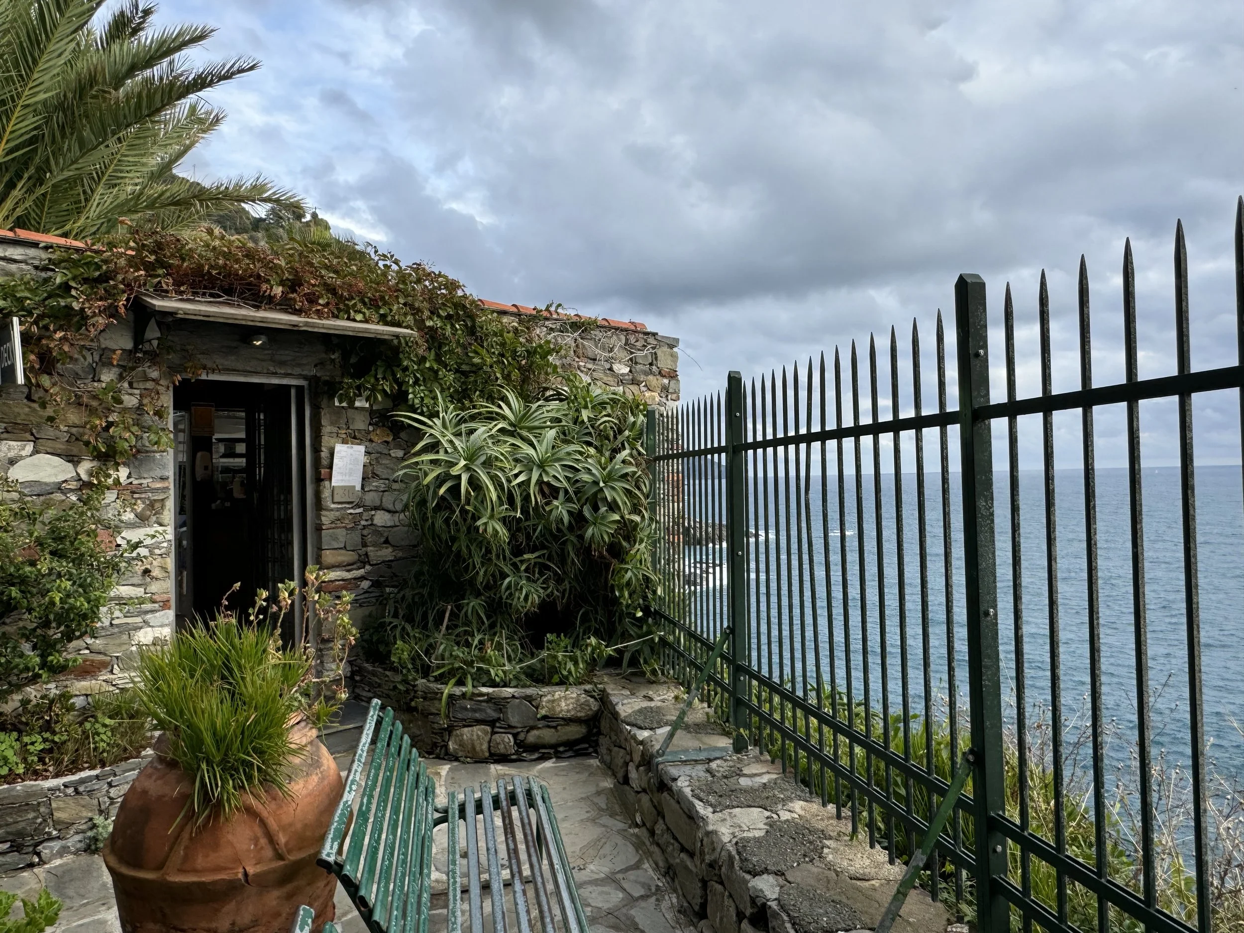 IMG_1102.jpeg
