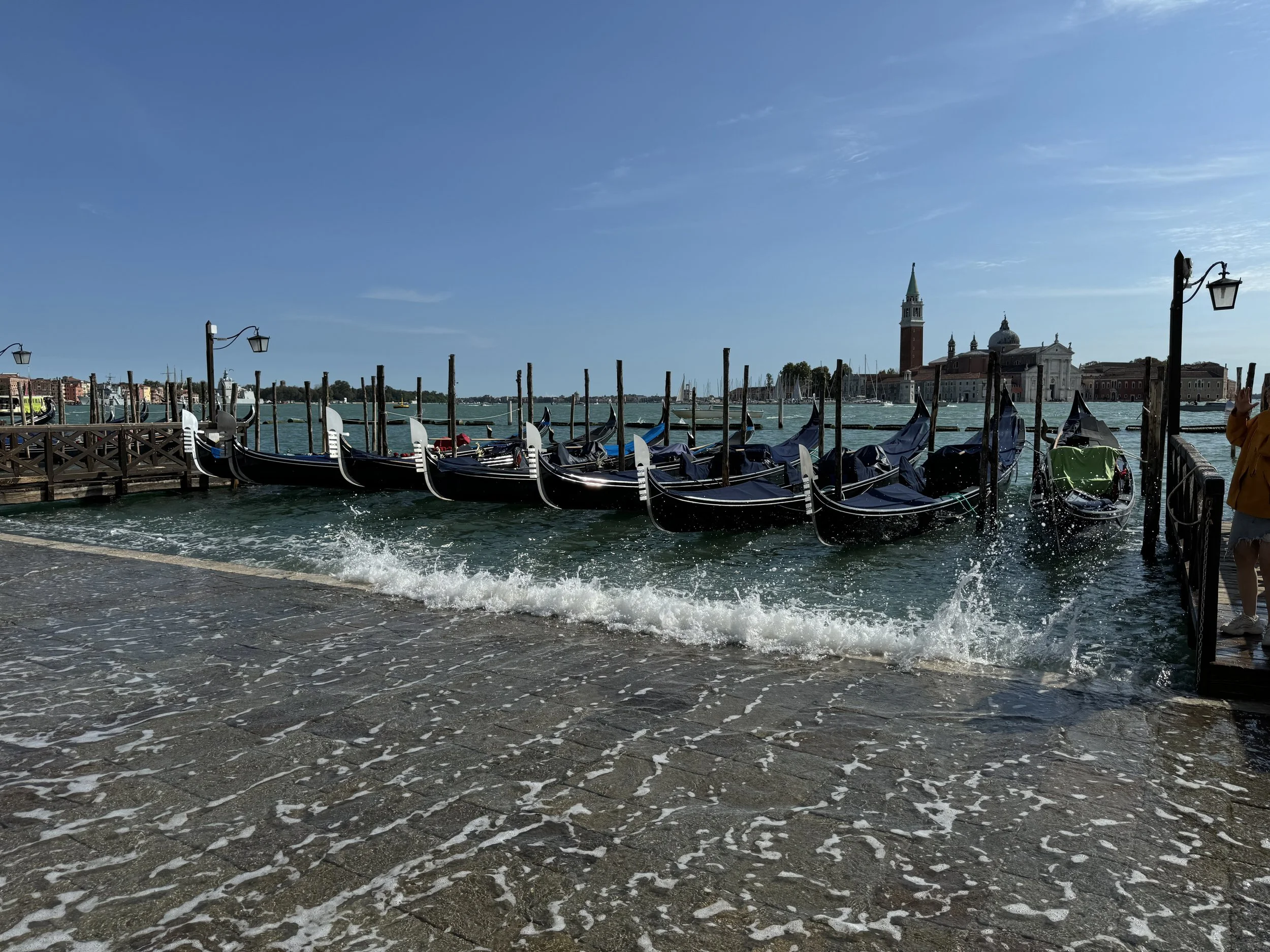 IMG_1537.jpeg
