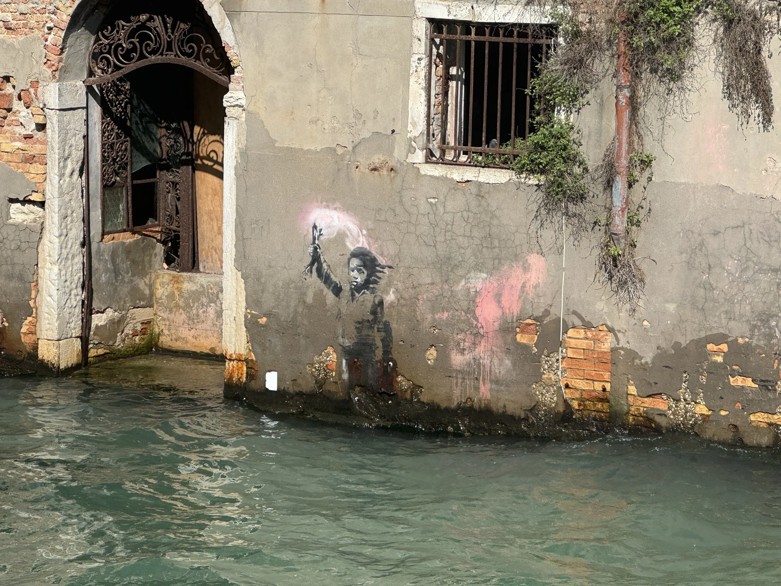 IMG_1504.jpeg