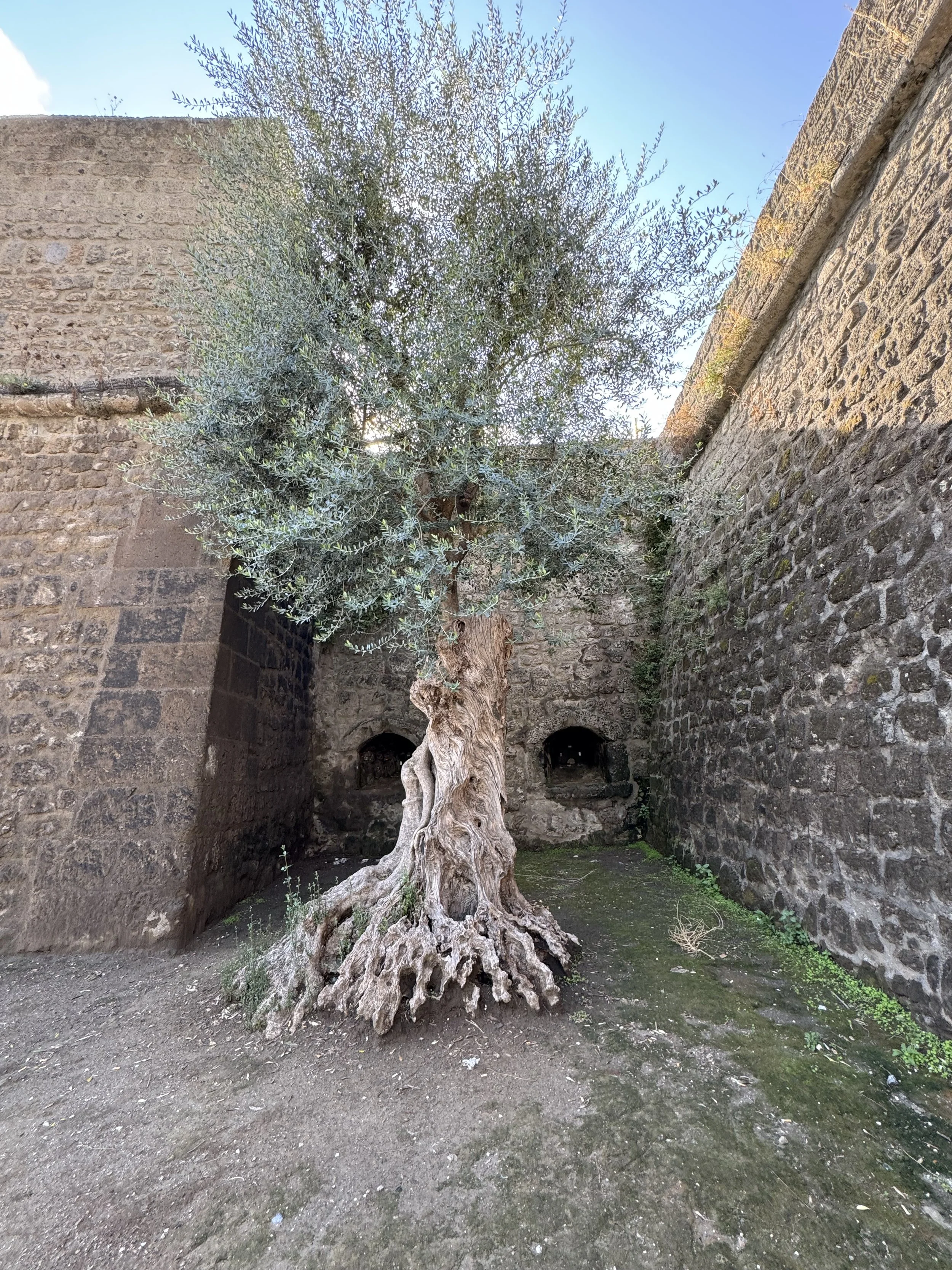 IMG_0456.jpeg