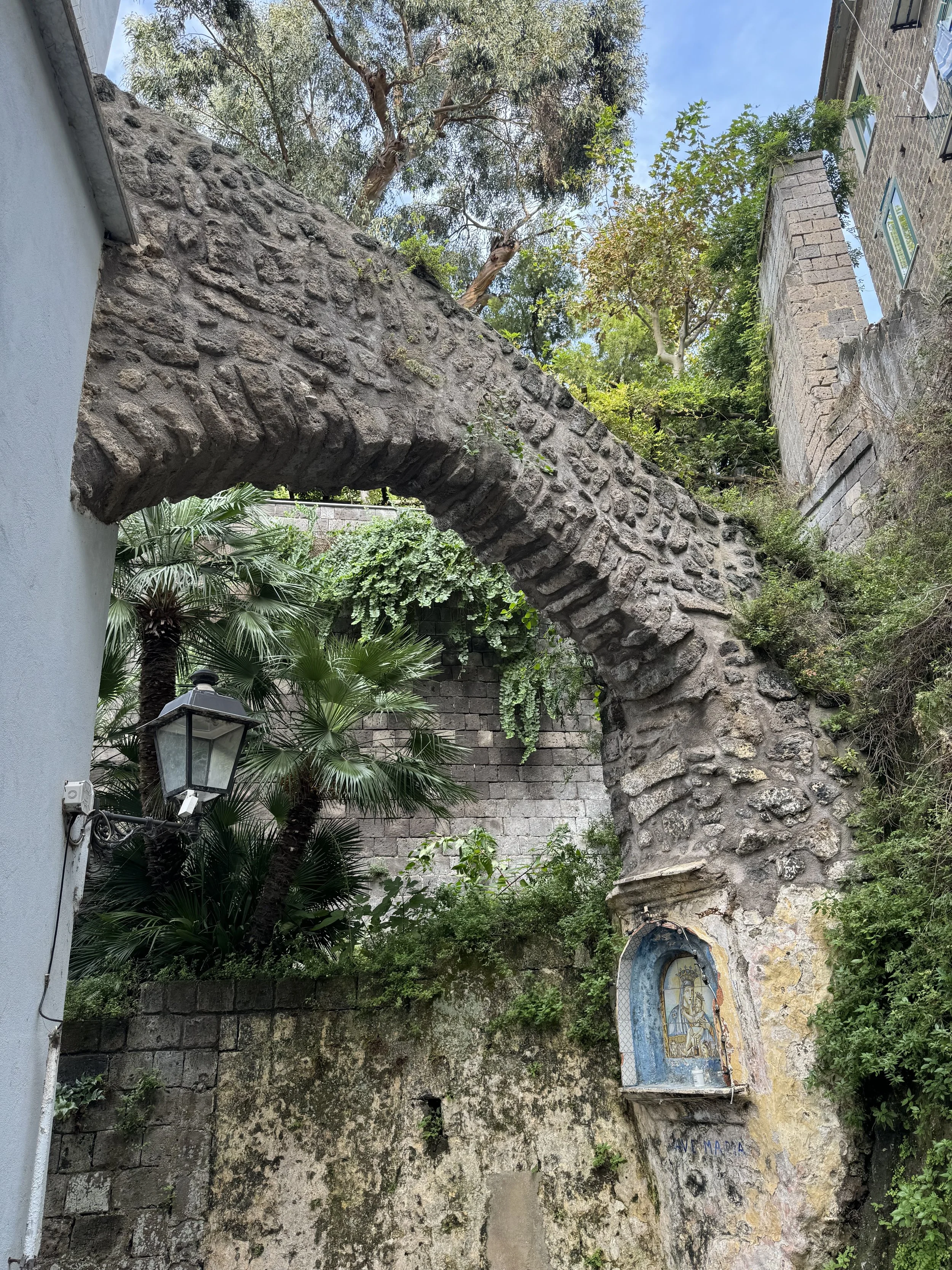 IMG_0395.jpeg
