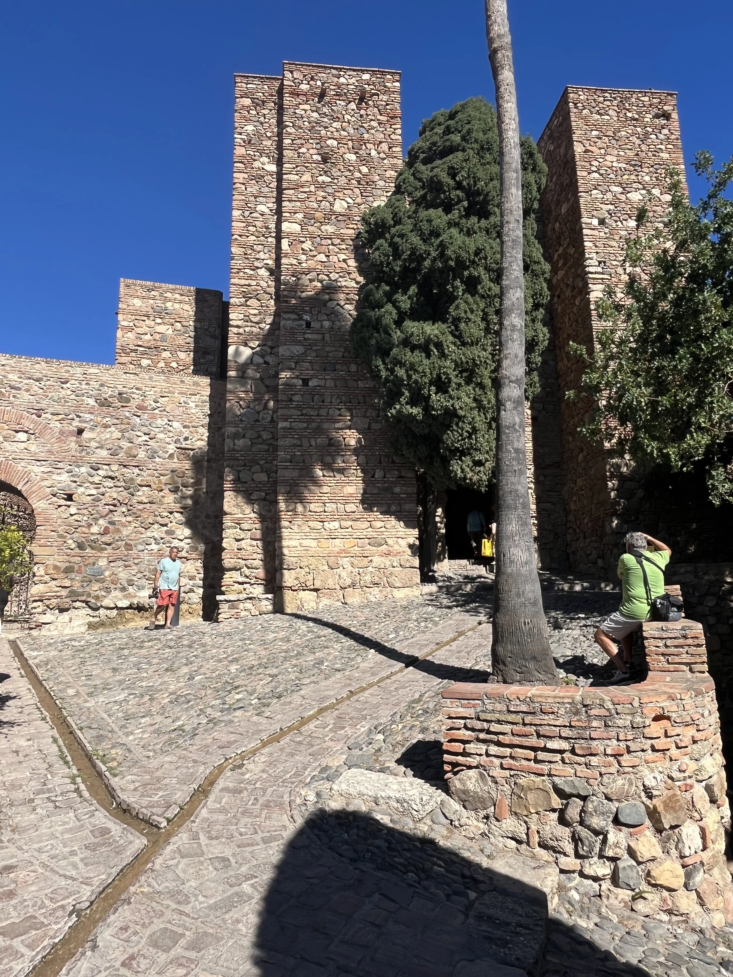 IMG_1656.jpeg