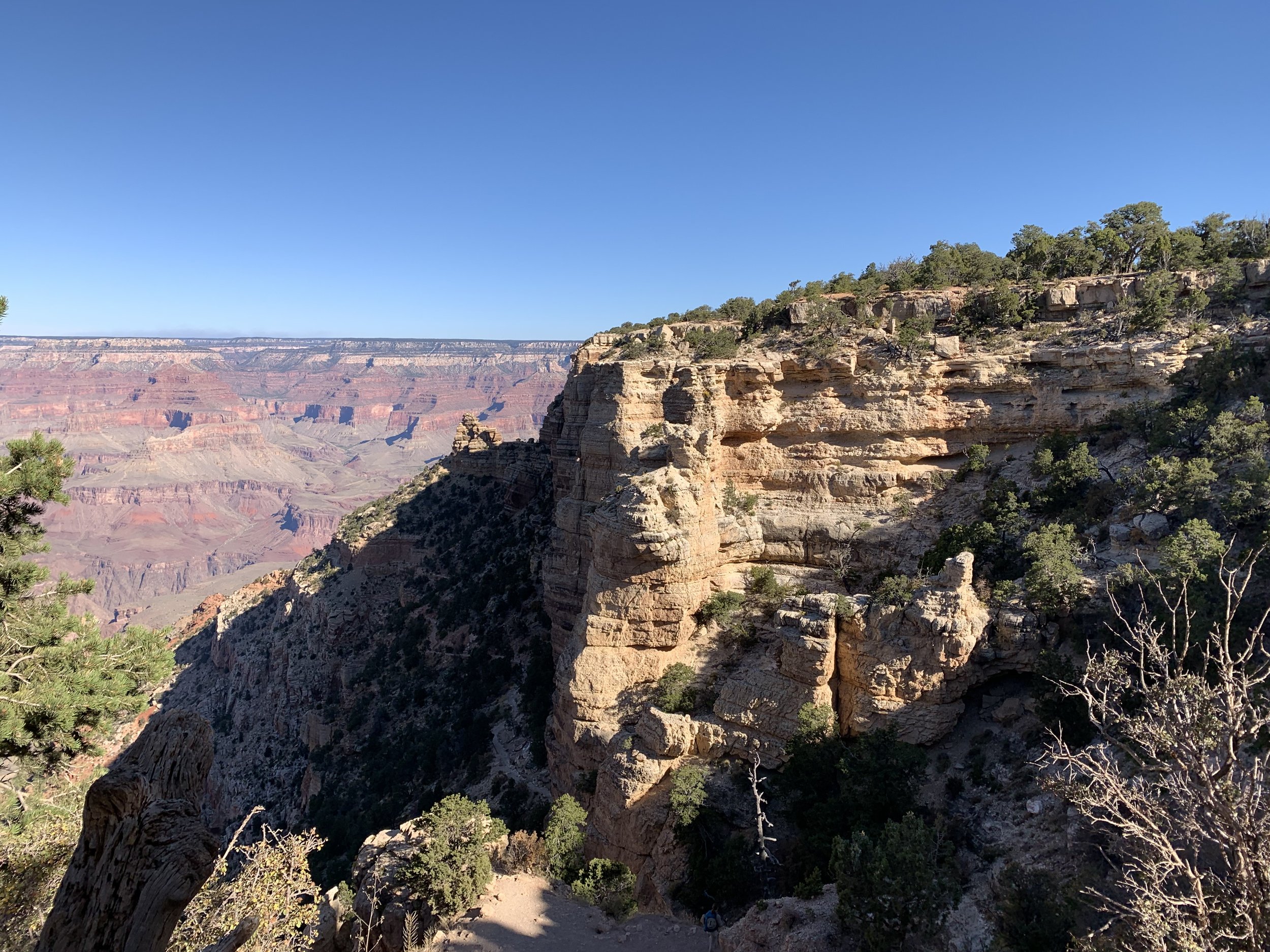 IMG_8075.jpeg