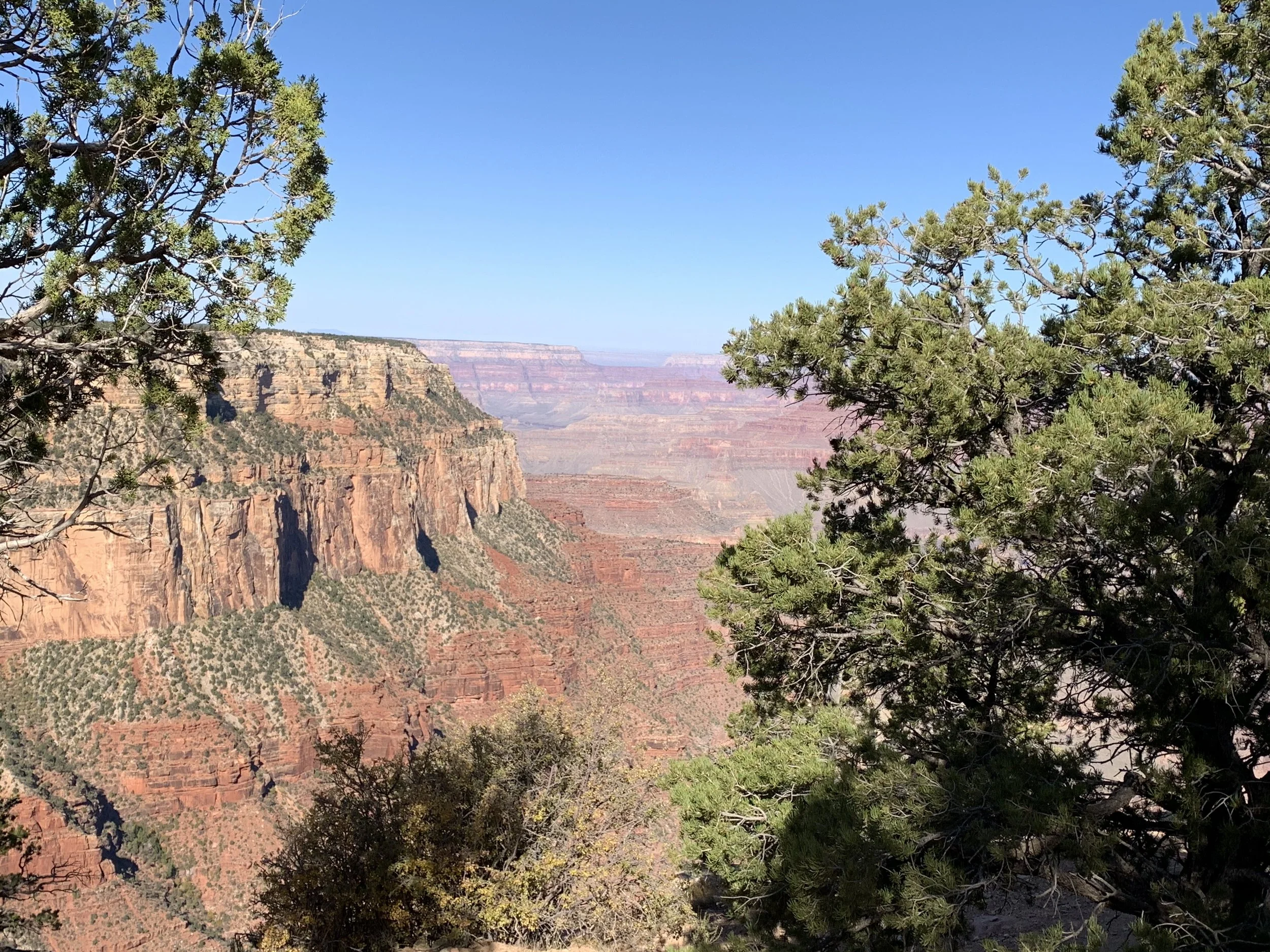 IMG_8065.jpeg