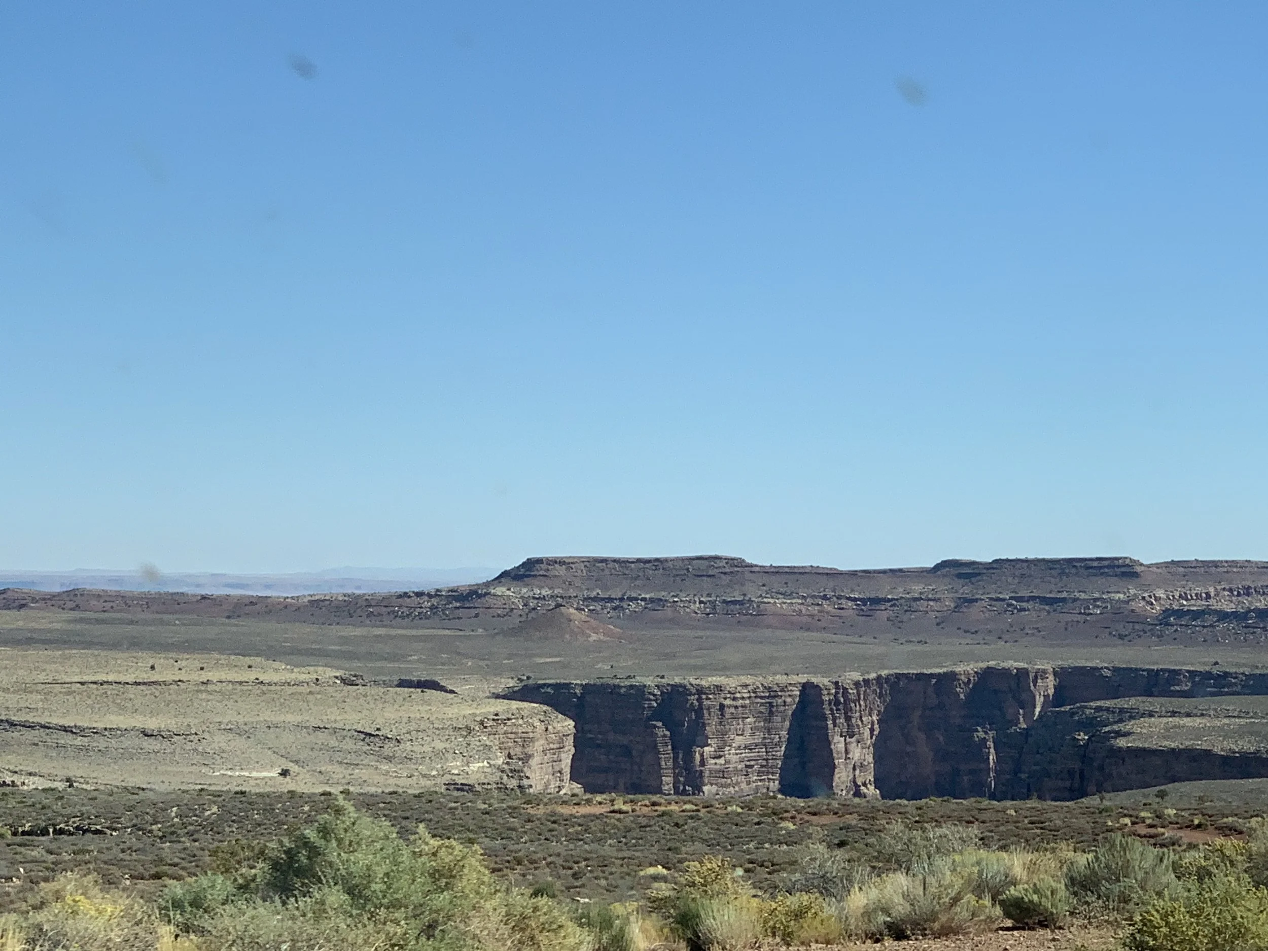 IMG_8286.jpeg