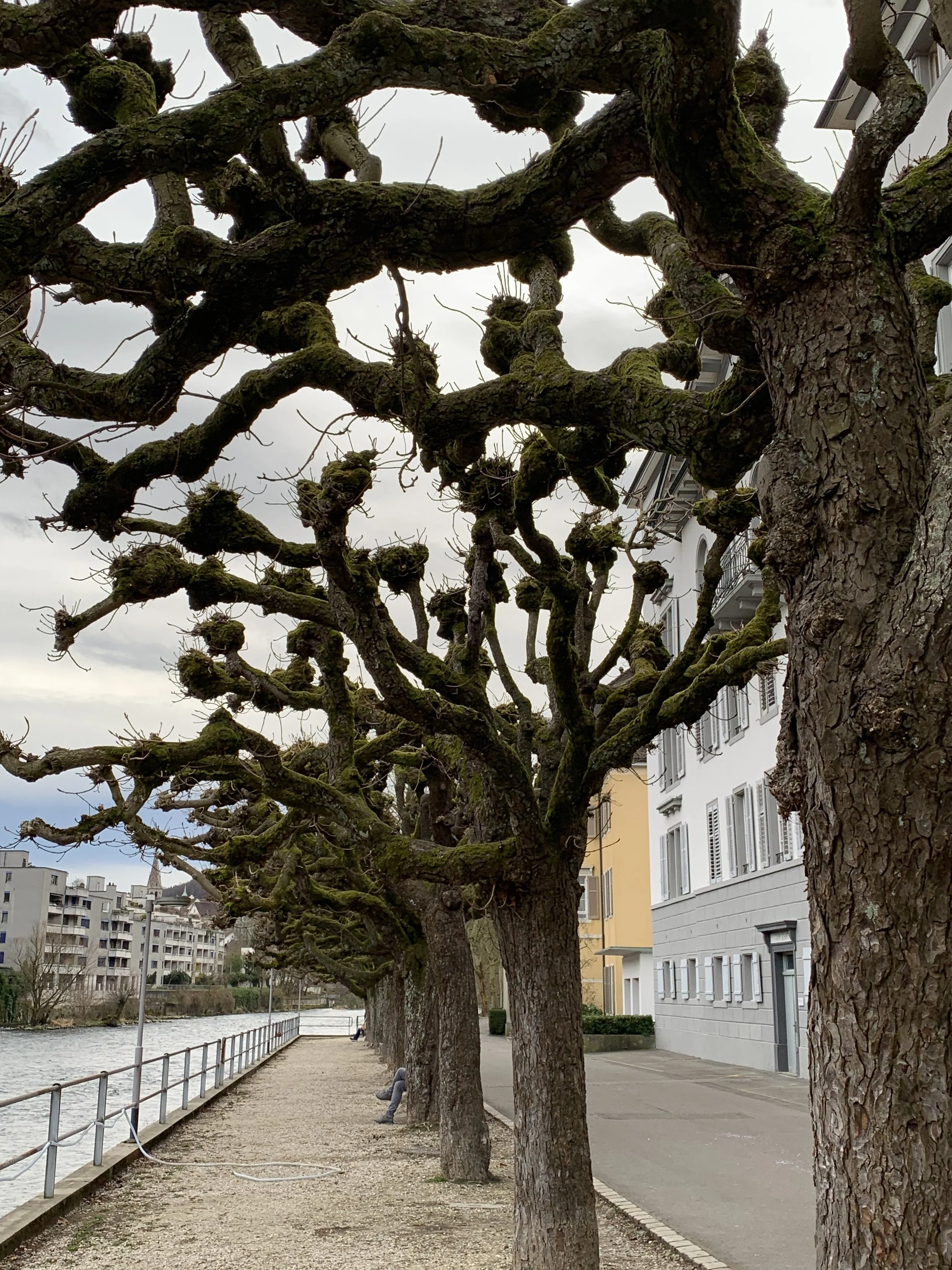 IMG_9488.jpeg