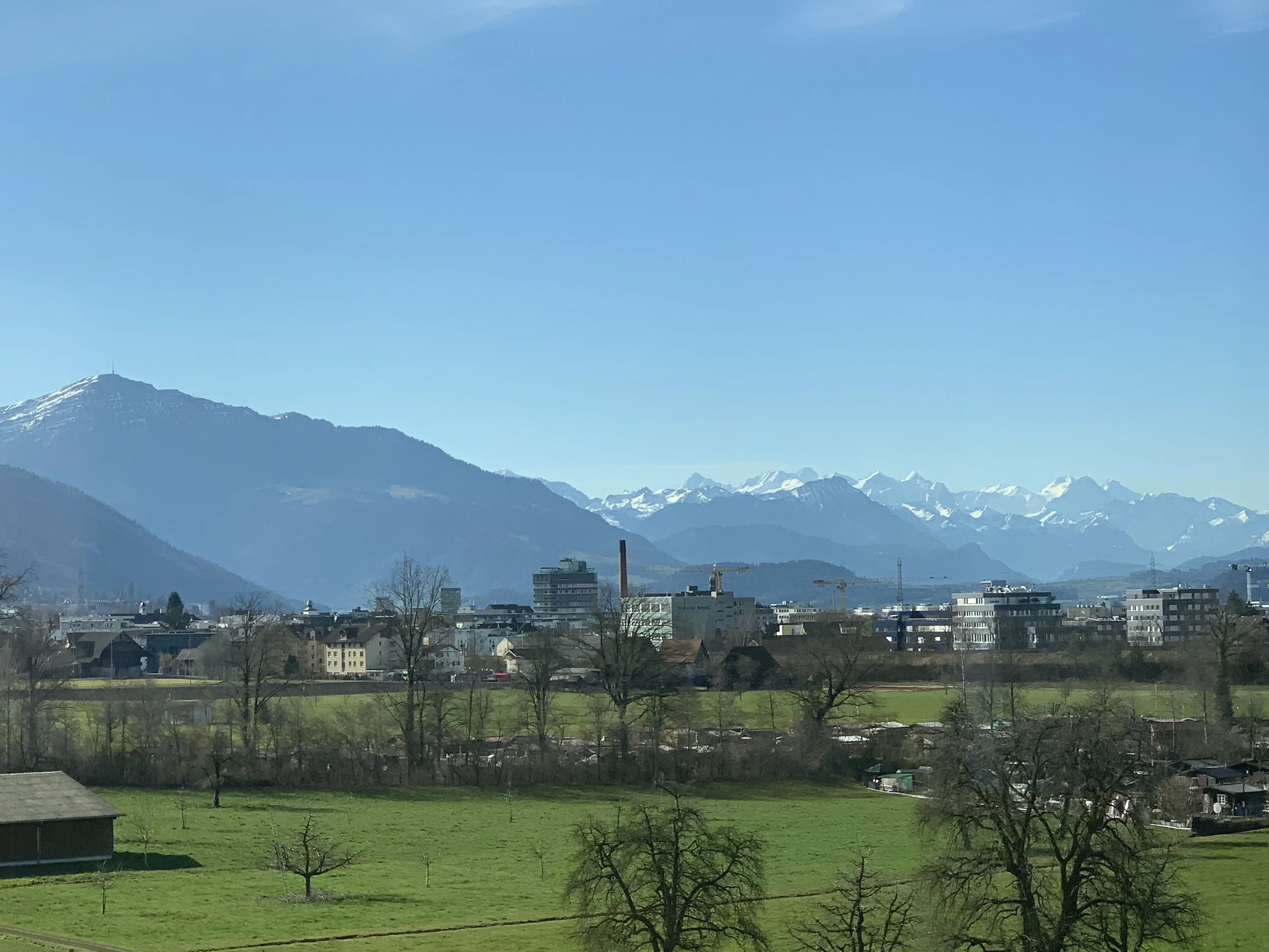 IMG_9507.jpeg