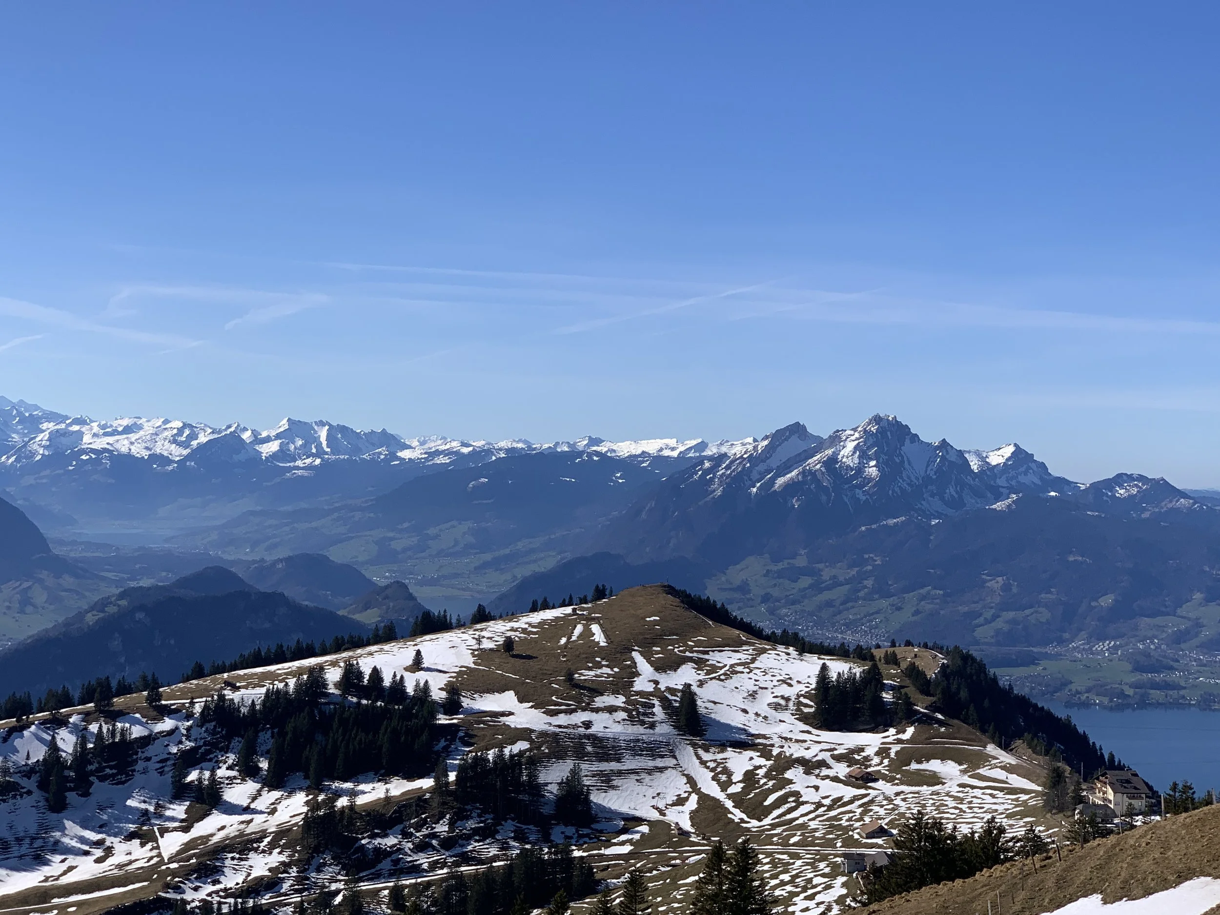IMG_9518.jpeg