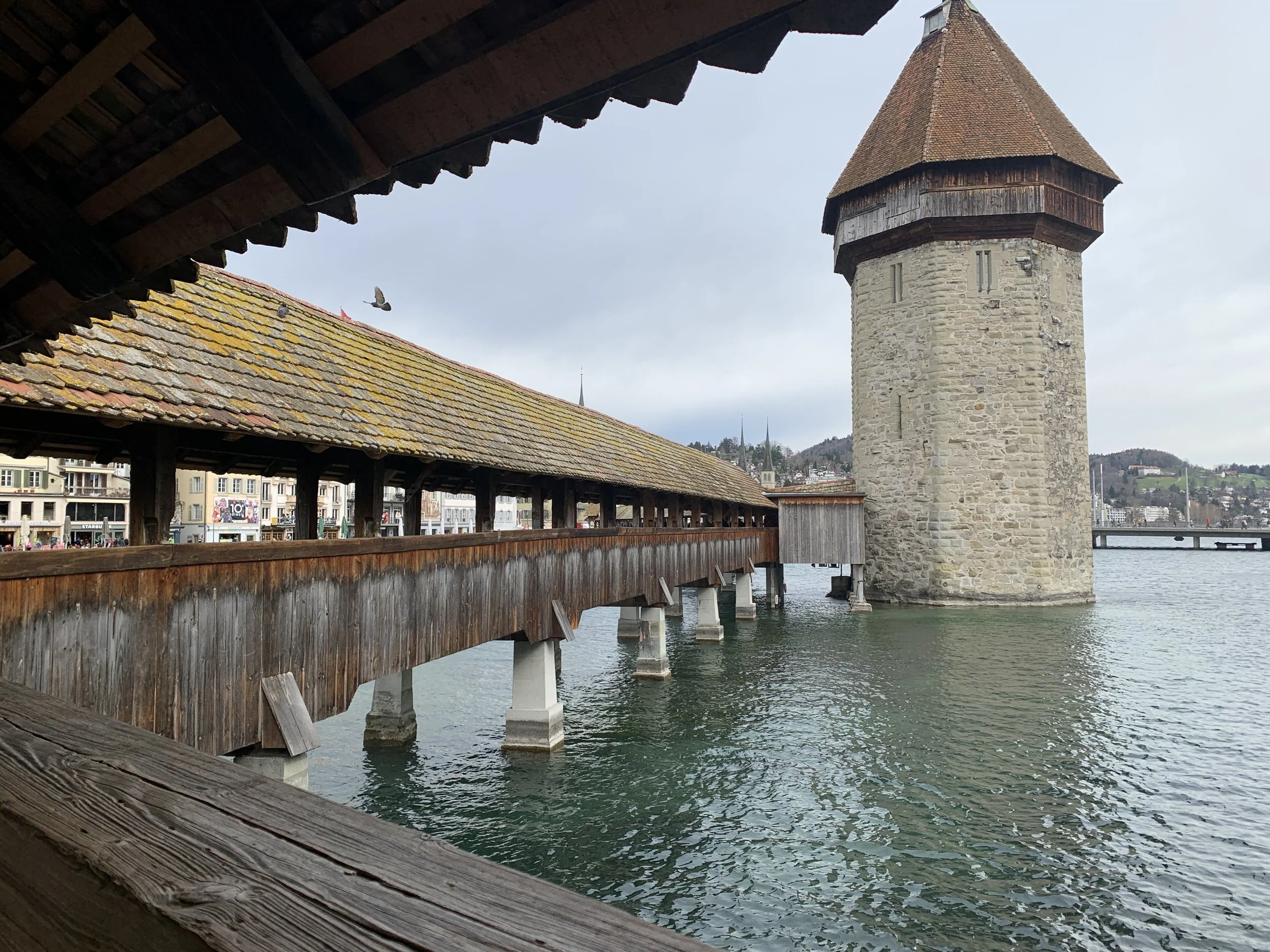 IMG_9680.jpeg