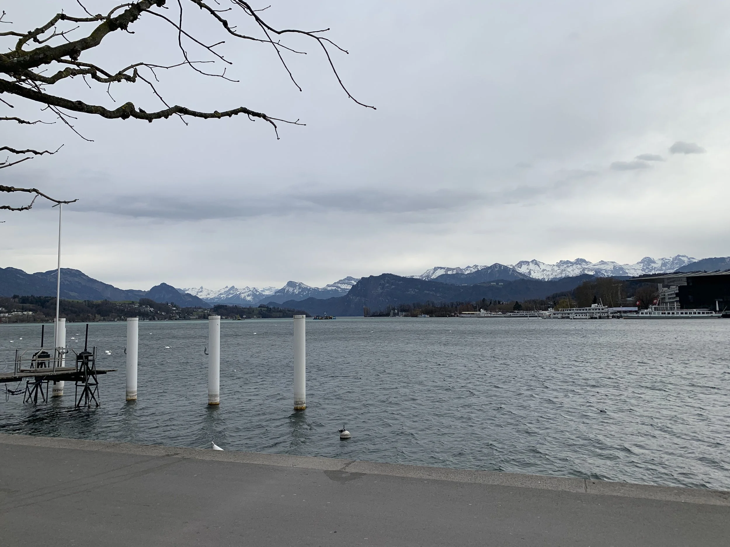 IMG_9693.jpeg