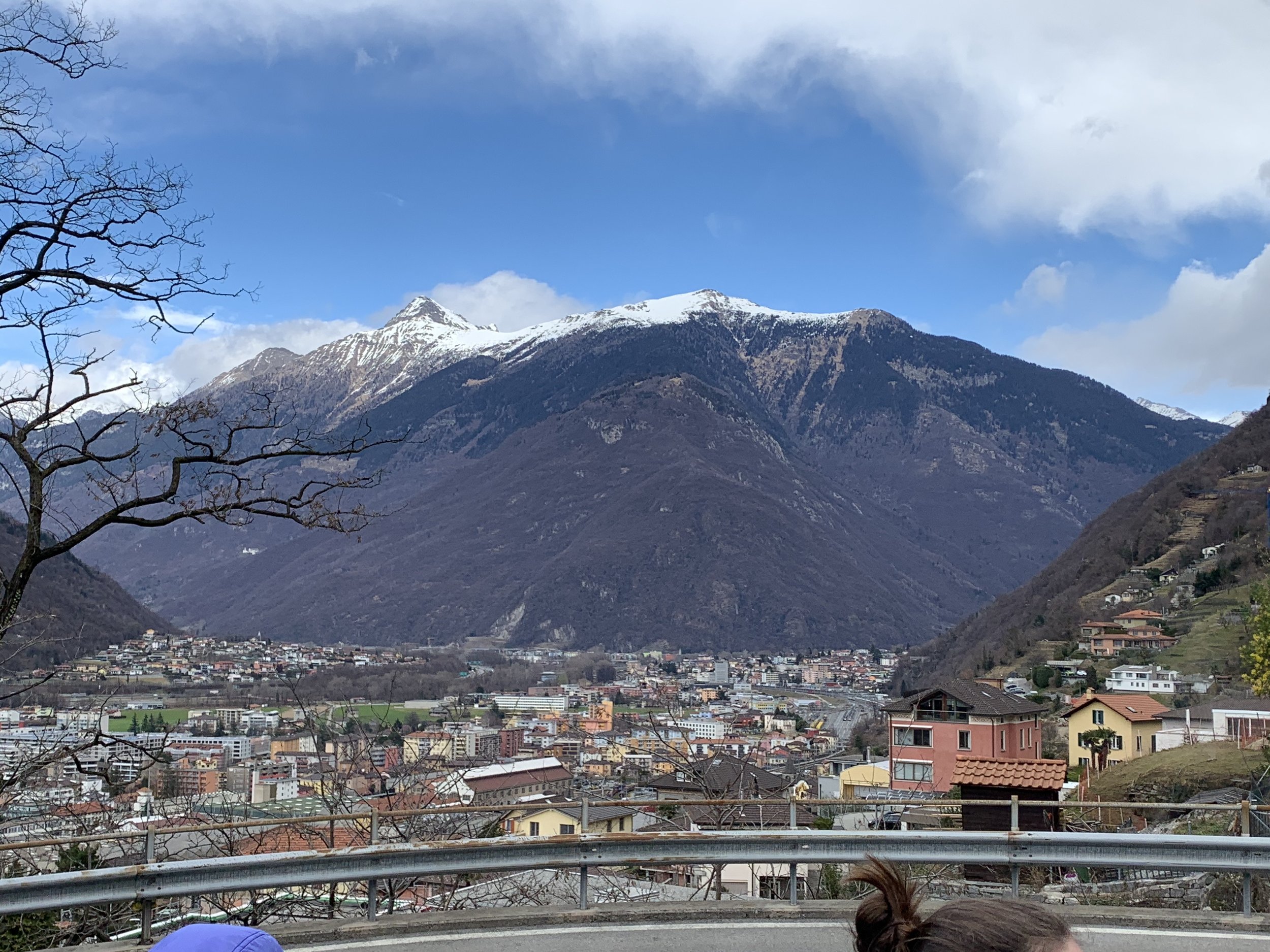 IMG_9765.jpeg