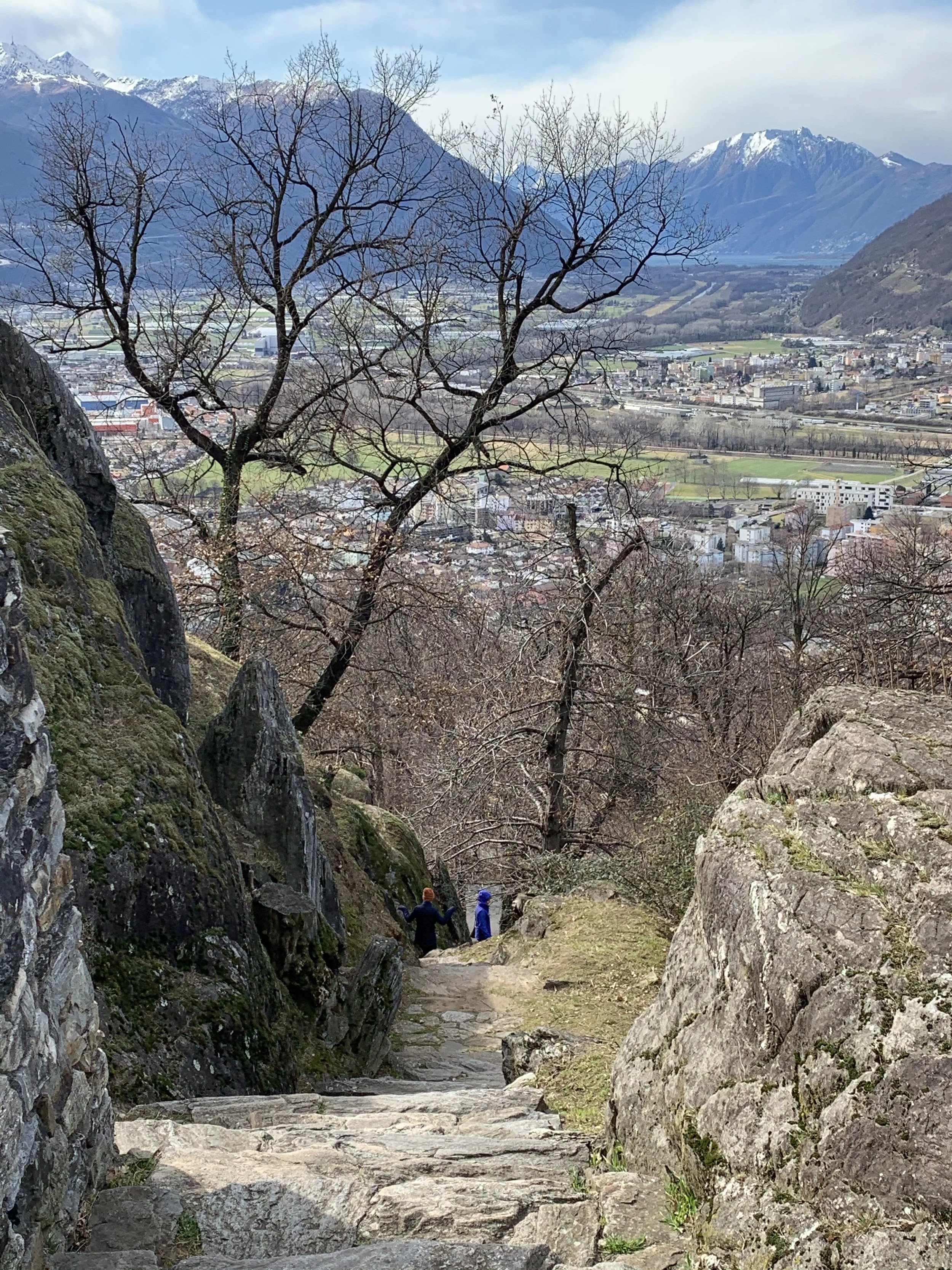 IMG_9789.jpeg