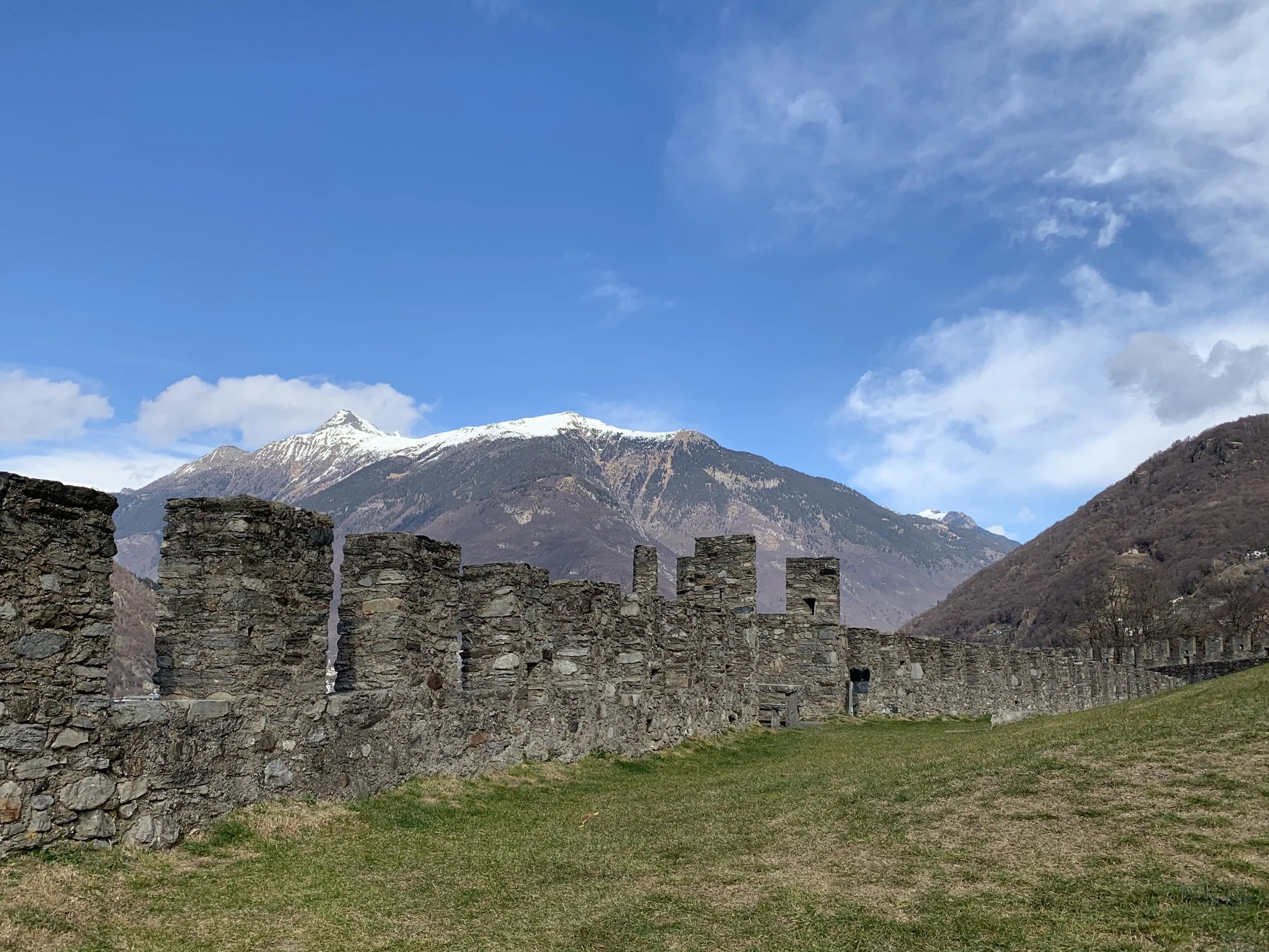 IMG_9803.jpeg