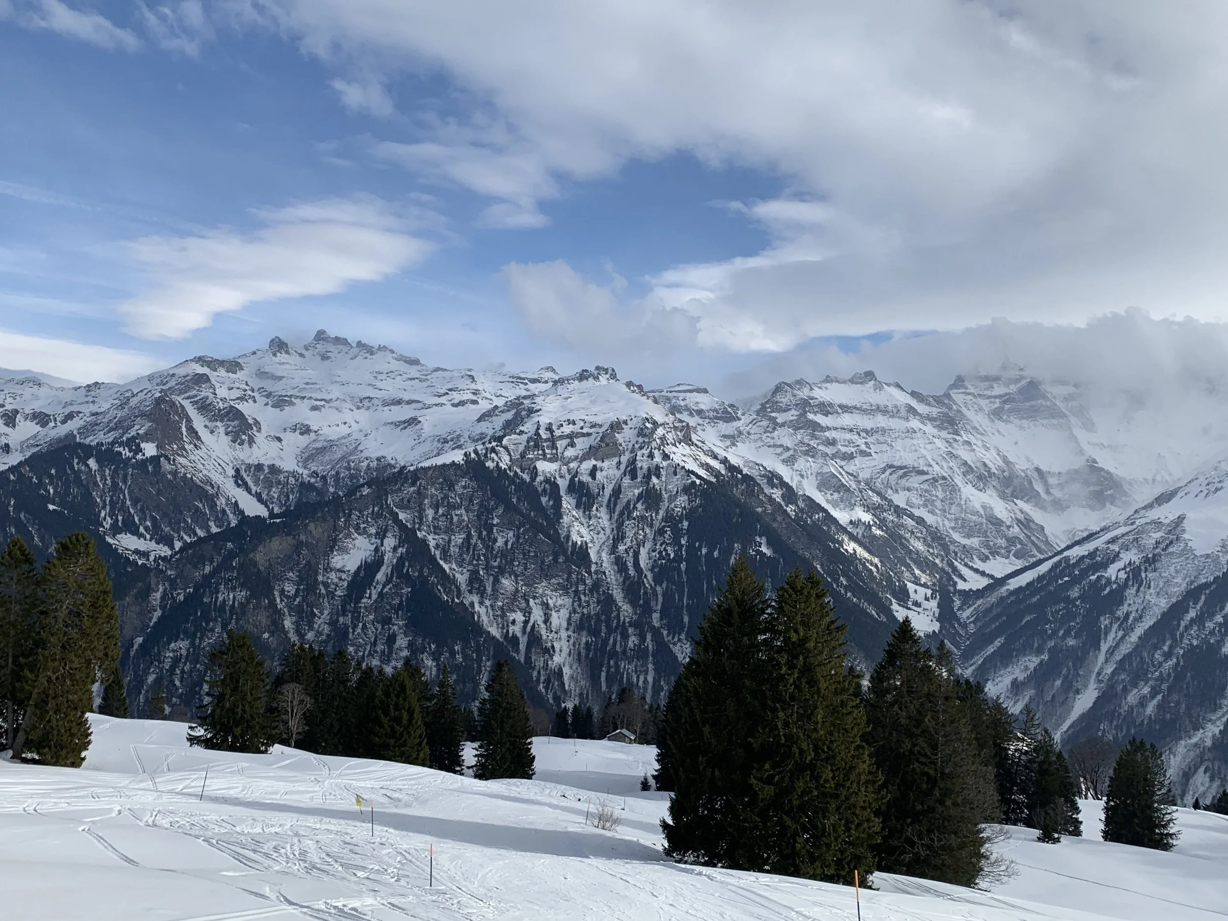 IMG_9900.jpeg