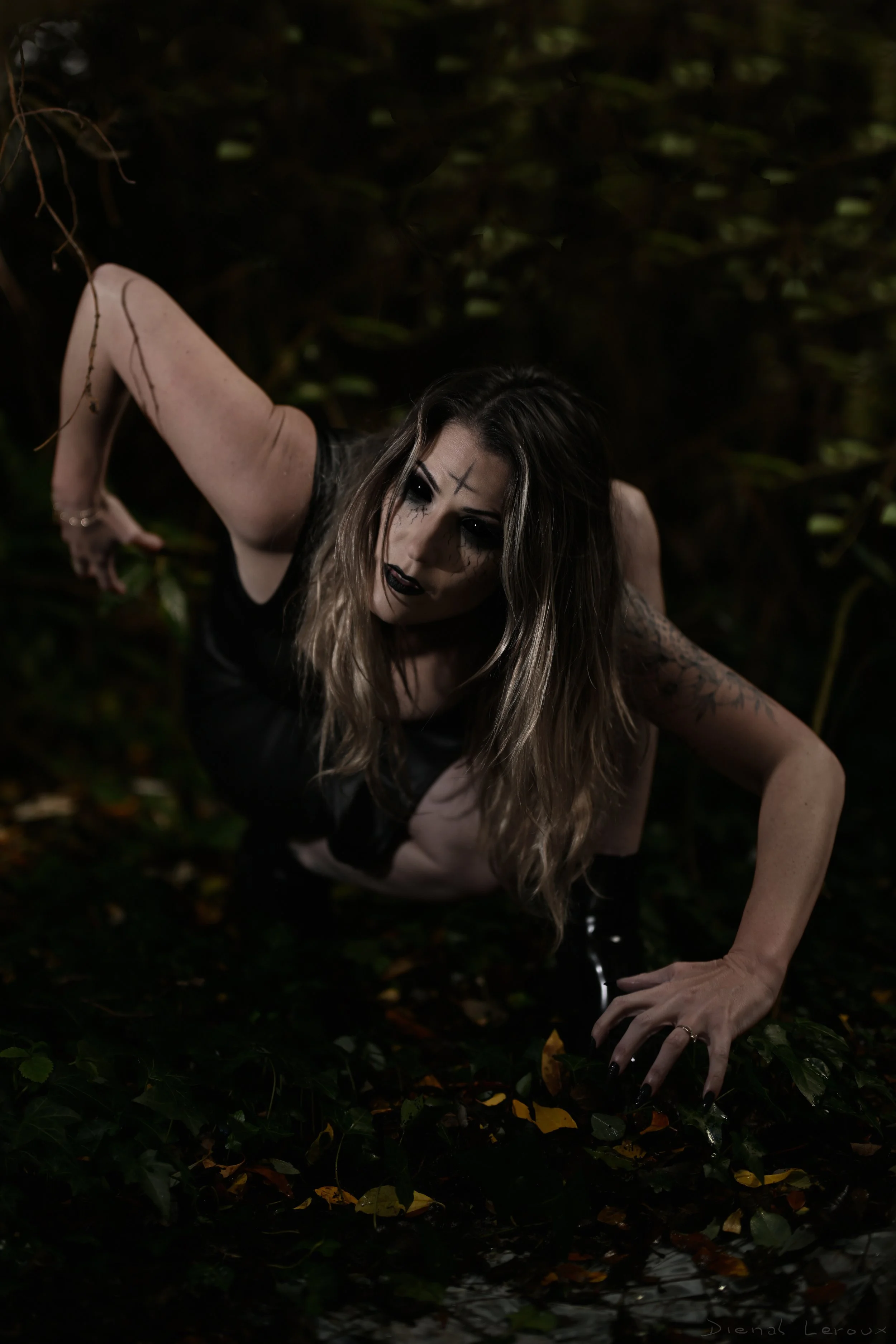 DSC_8965_(24)_Final saturation yeux noir_Final_Signé.jpg