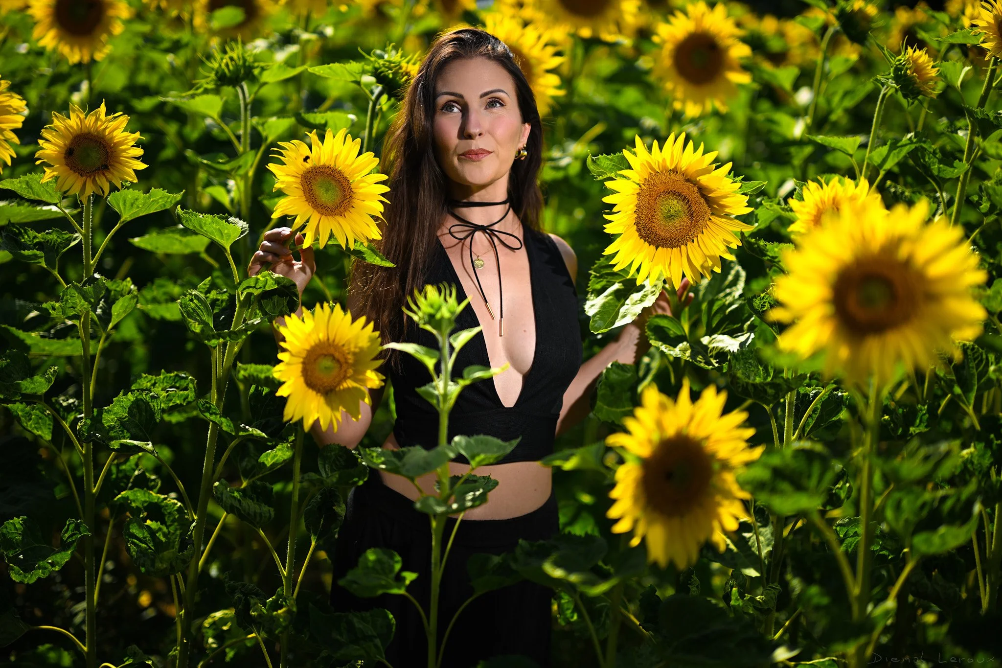 DSC_5579 ok_Final_Web_Signé.jpg