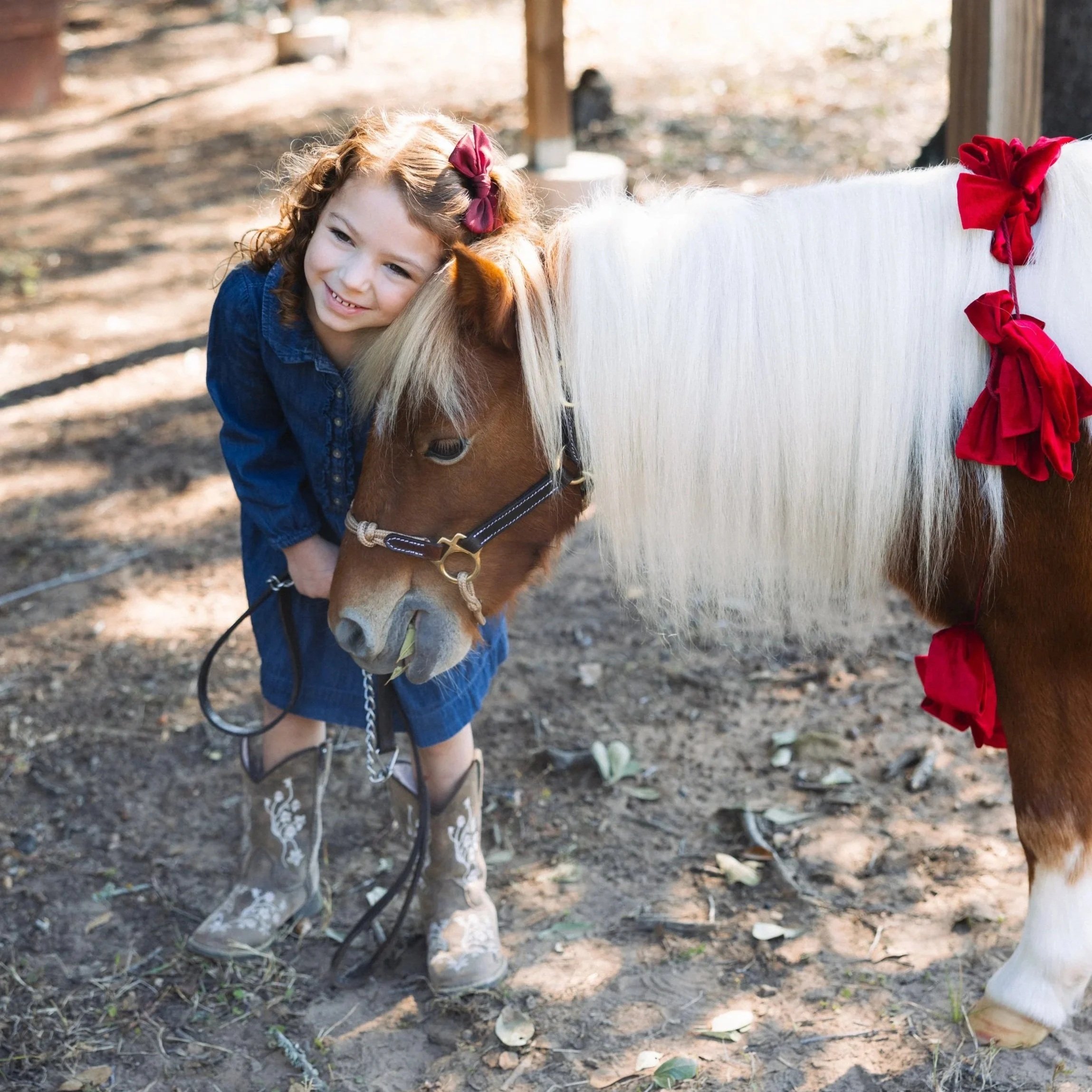Lauren Ashleigh Neumann Photography