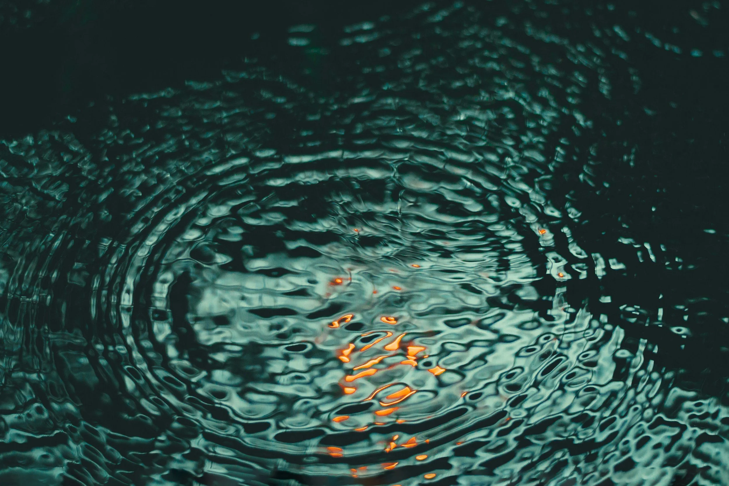 unsplash-image-ZpKxweXHqkc.jpg