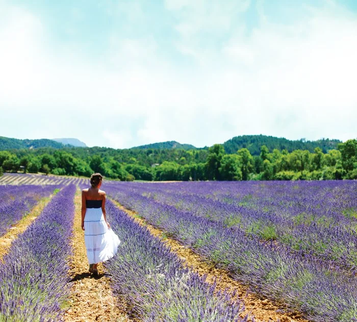 woman-in-lavender-field-blue-sky-700px-wide-lr.jpg