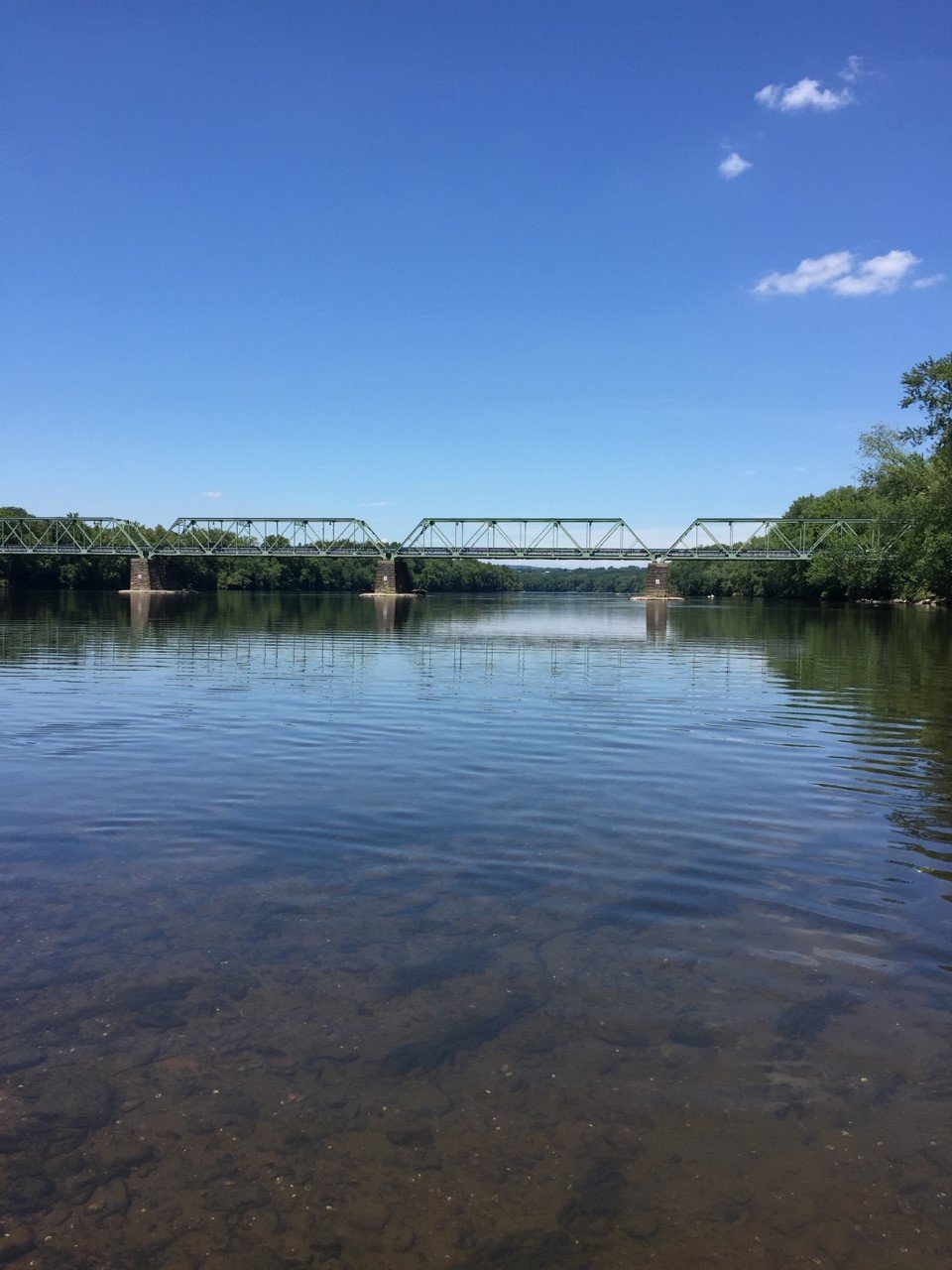 bridge photo - stacey.jpg