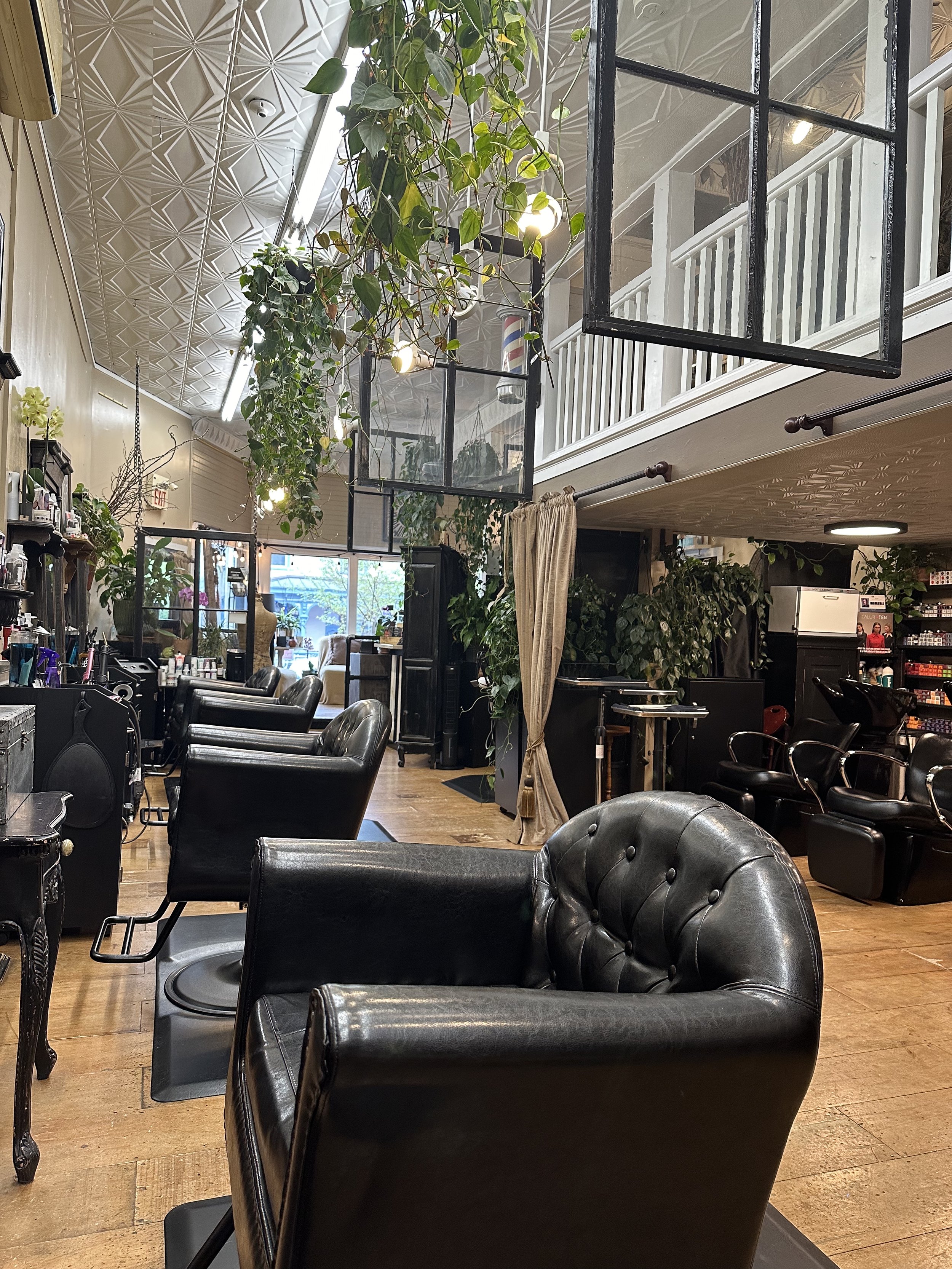 salon 11.jpg