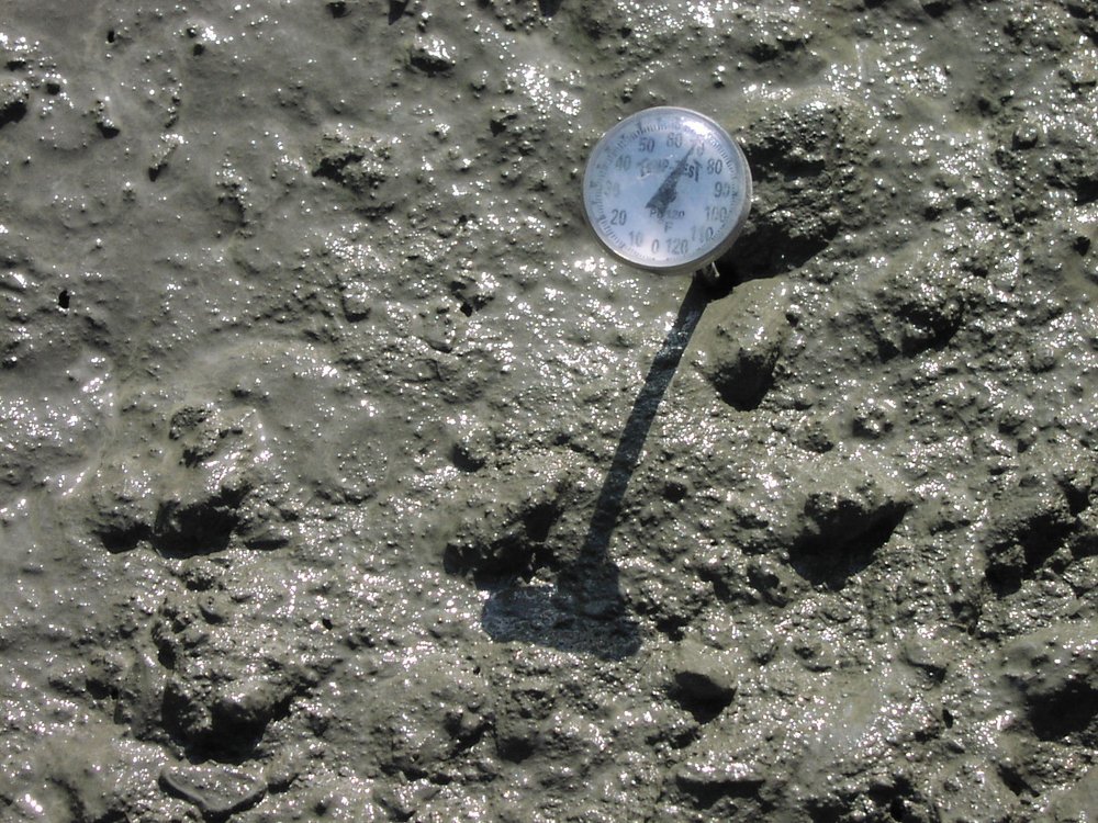 Screed Method. Temperature probe inserted into freshly mixed concrete to monitor heat levels during placement.