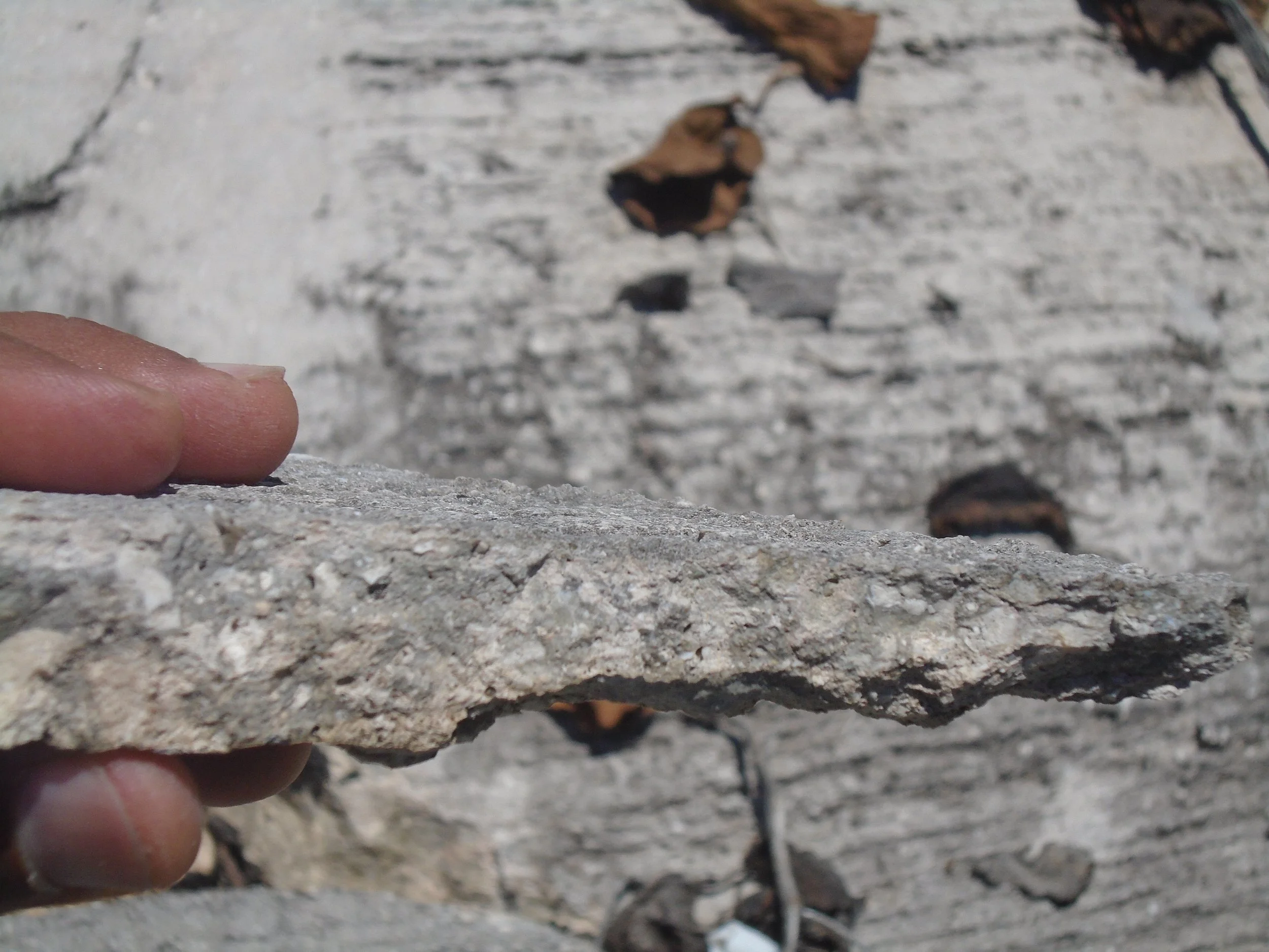 runit-dome-crack-profile-closeup.jpg
