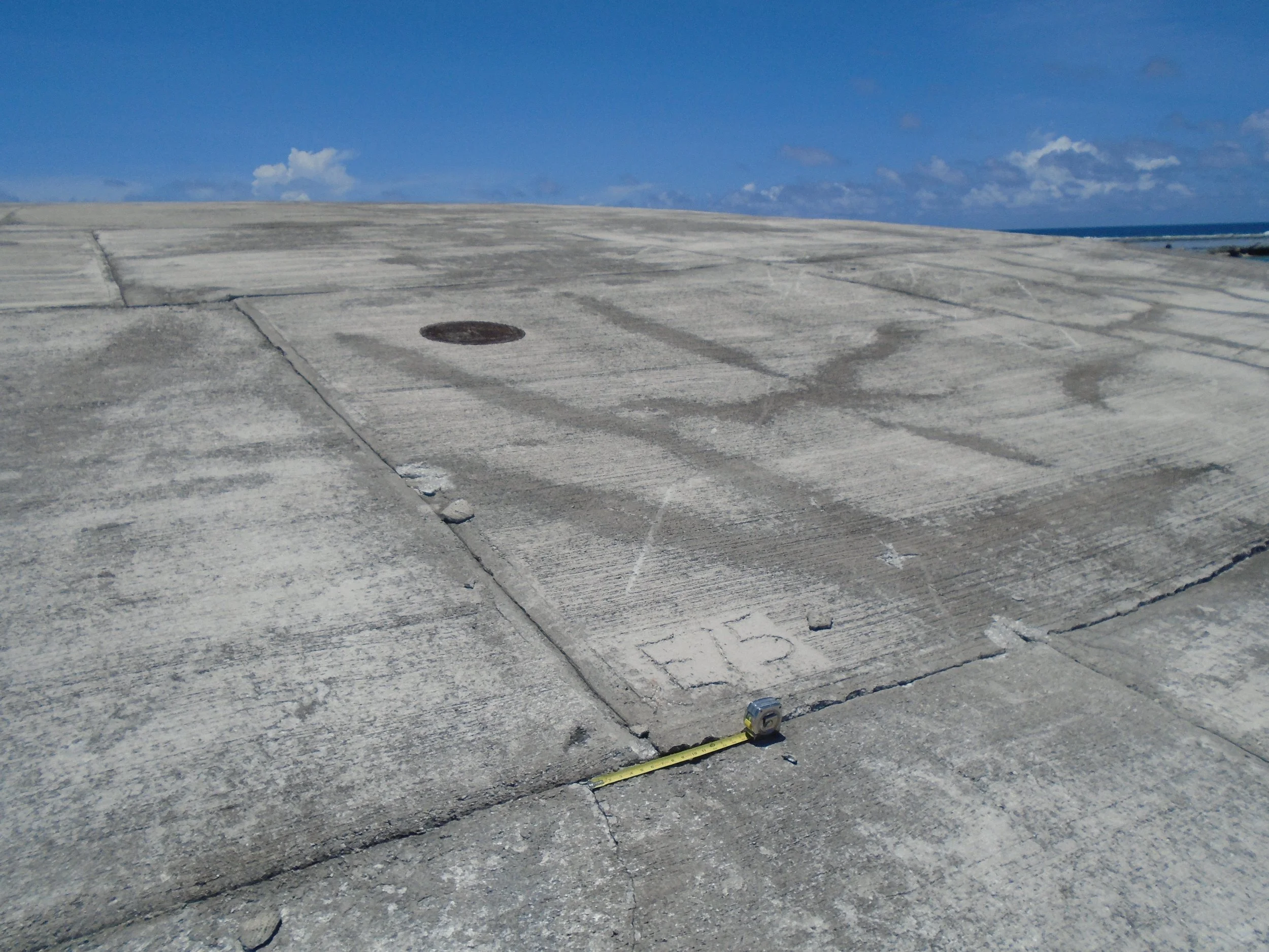 runit-dome-inspection-port-wide-view.jpg