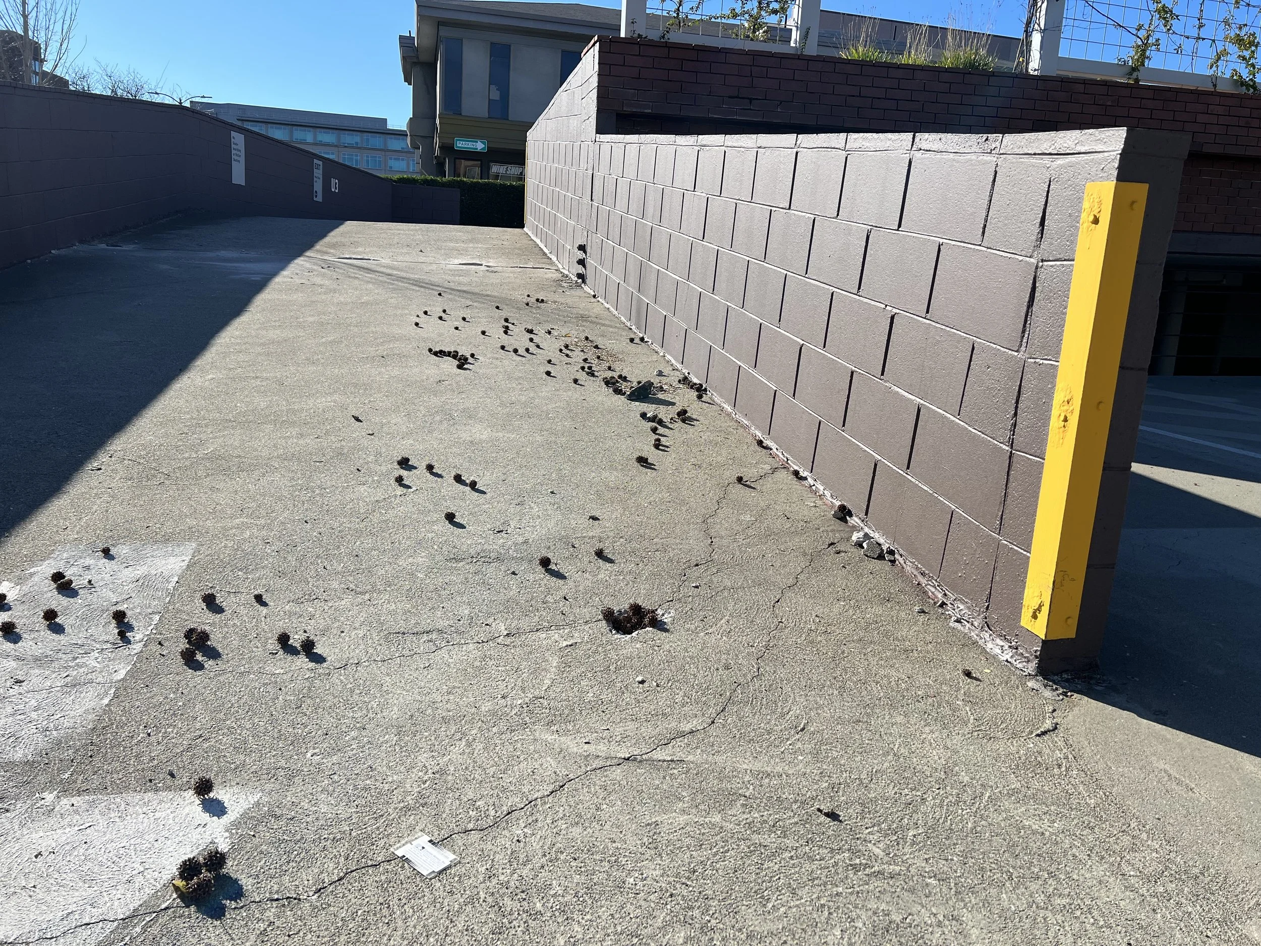 Surface cracks along parking ramp wall