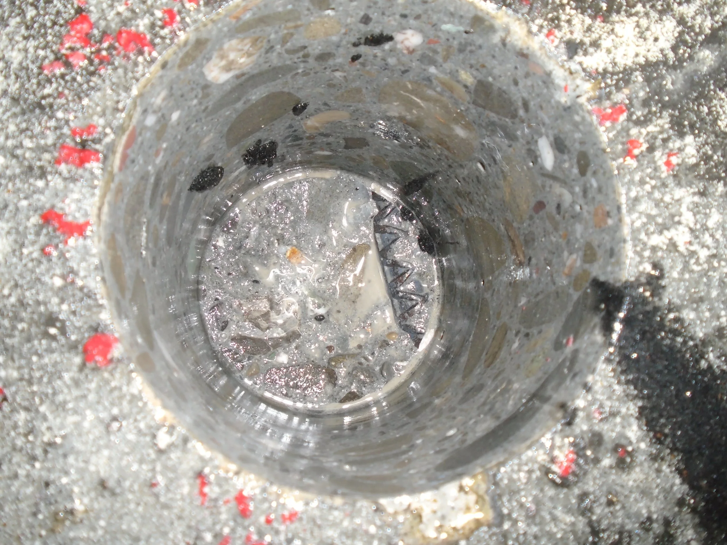 Top-down view of a concrete core sample extracted from the Vacuator slab, showing internal texture and aggregate distribution.