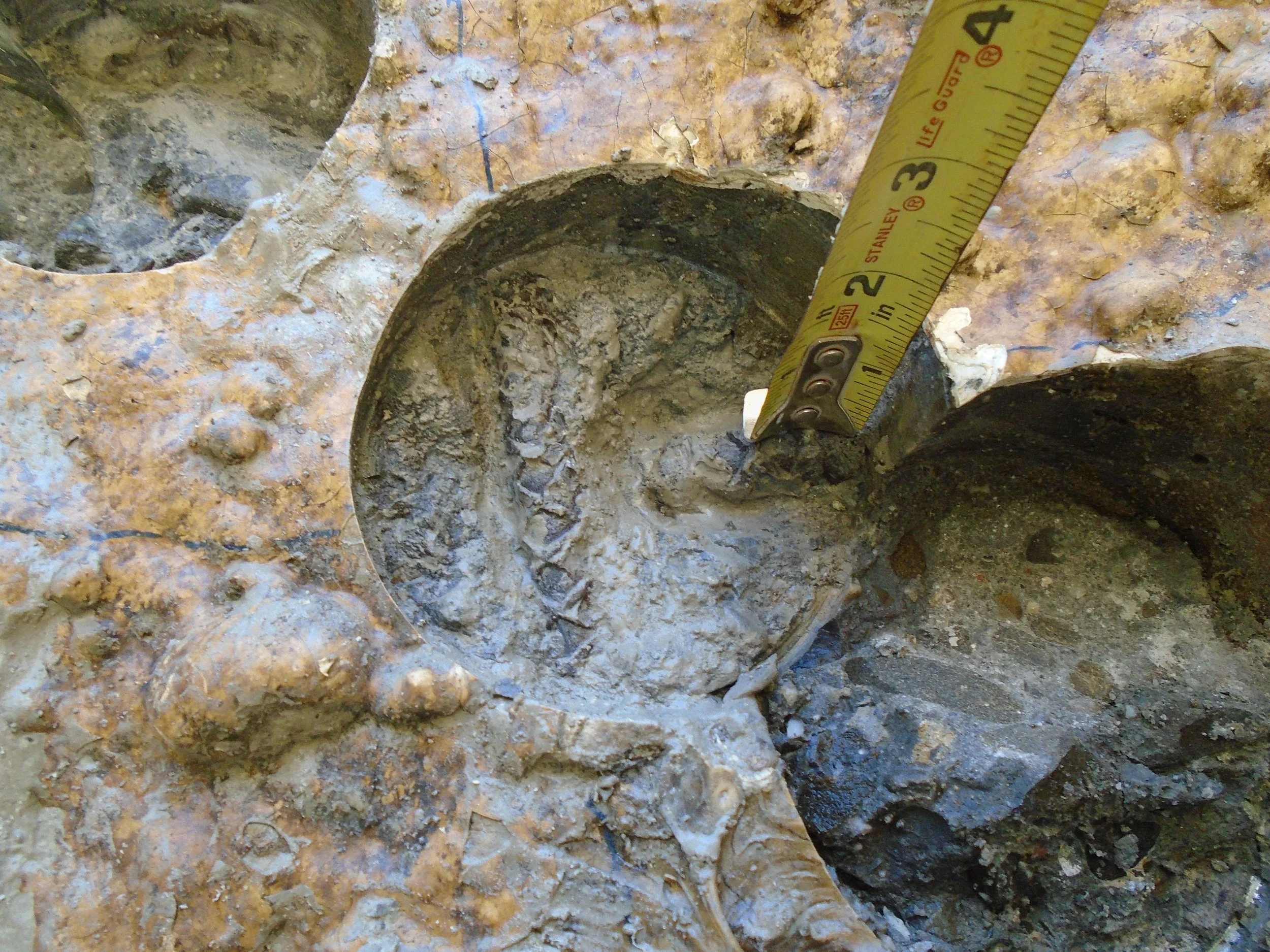 Measurement of core depth in concrete section of Vacuator with visible reinforcement, used to assess chloride exposure and rebar condition.