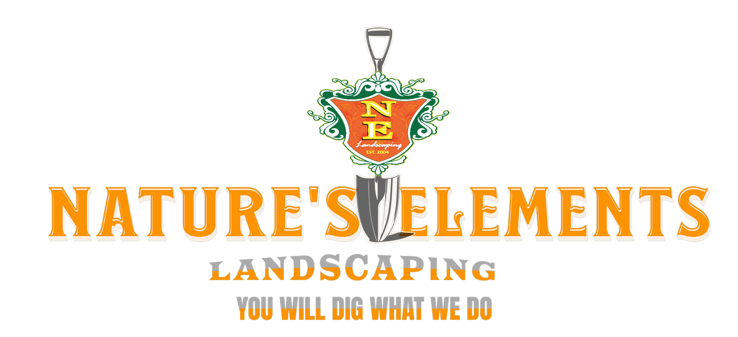 Nature's Elements Landscaping-San Diego, Landscape Design and Build 