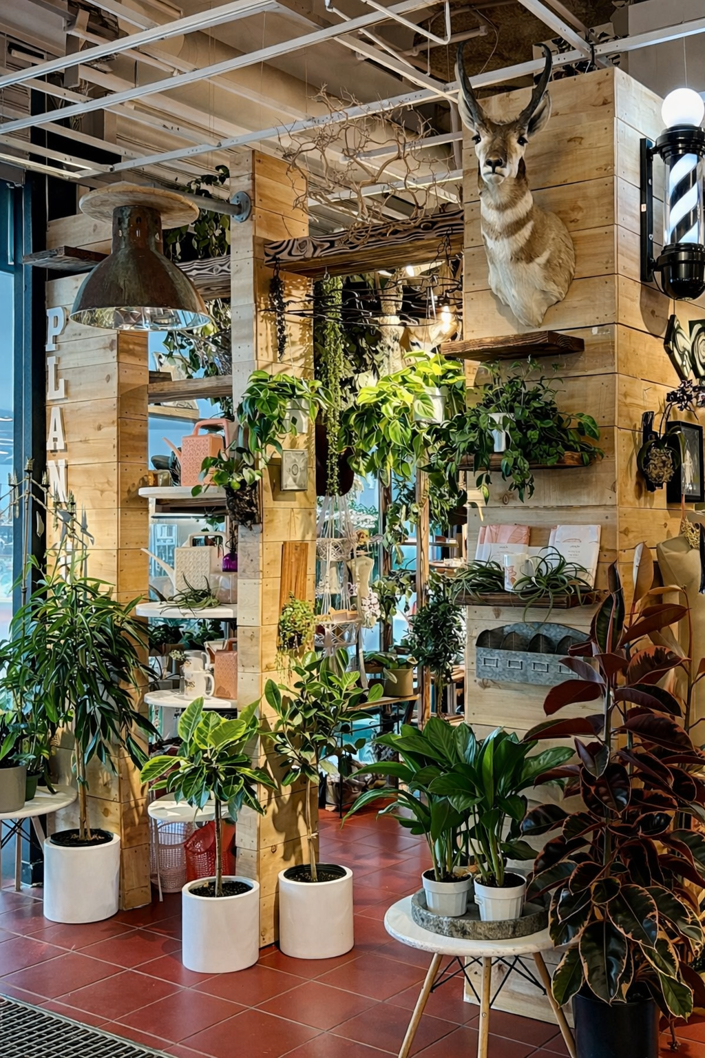 Indoor space with wooden decor, lush green plants in white pots, a mounted deer head, and a barber pole-style light fixture. Plant shops near you. Artifacts and artichokes. Home garden gifts. How did curiosities?